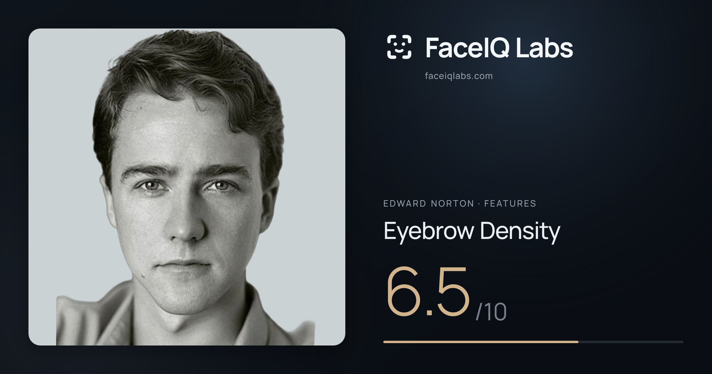 Edward Norton Eyebrow Density: 6.5/10, drawn on the photo