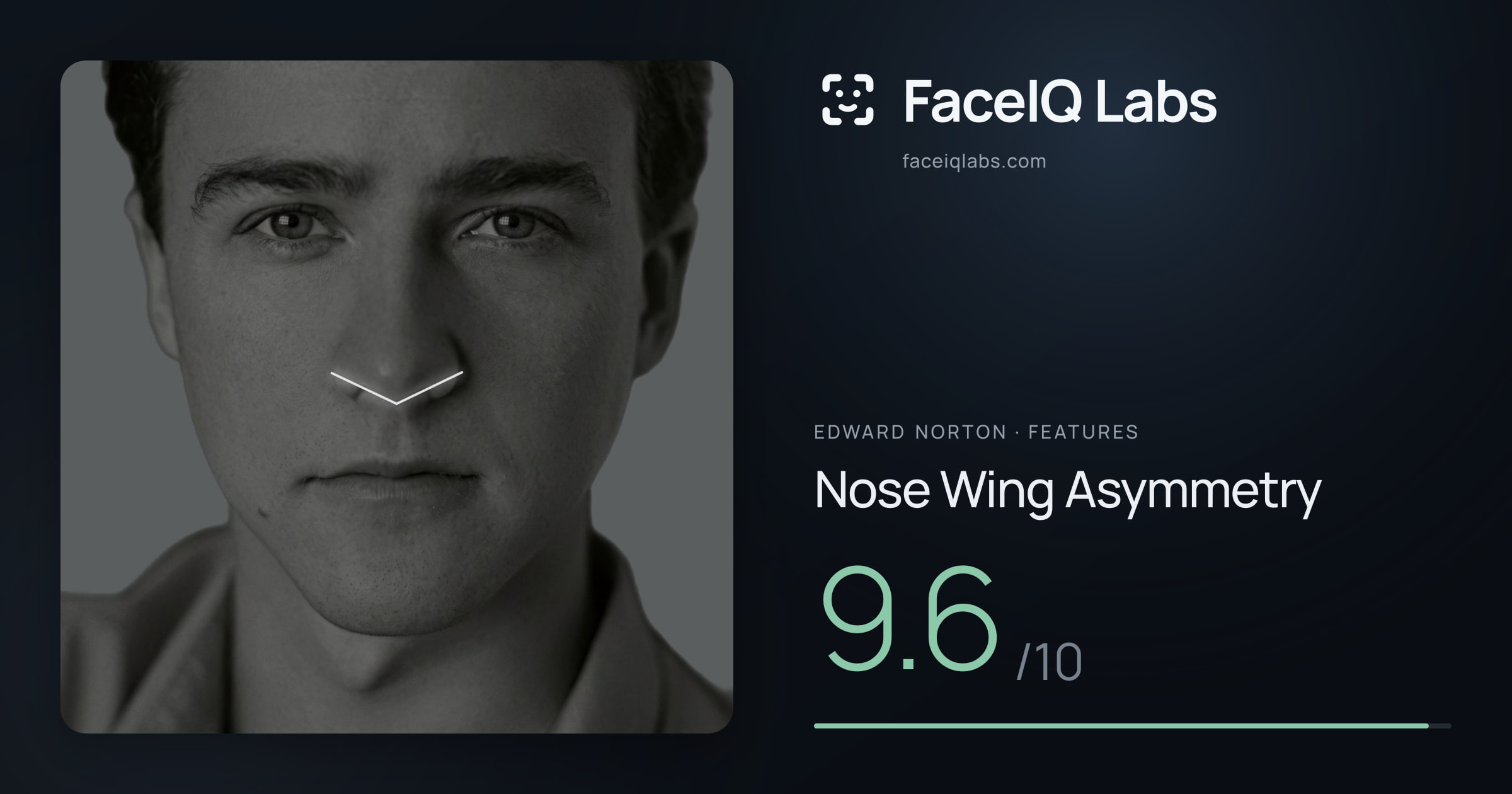 Edward Norton Nose Wing Asymmetry: 9.6/10, drawn on the photo