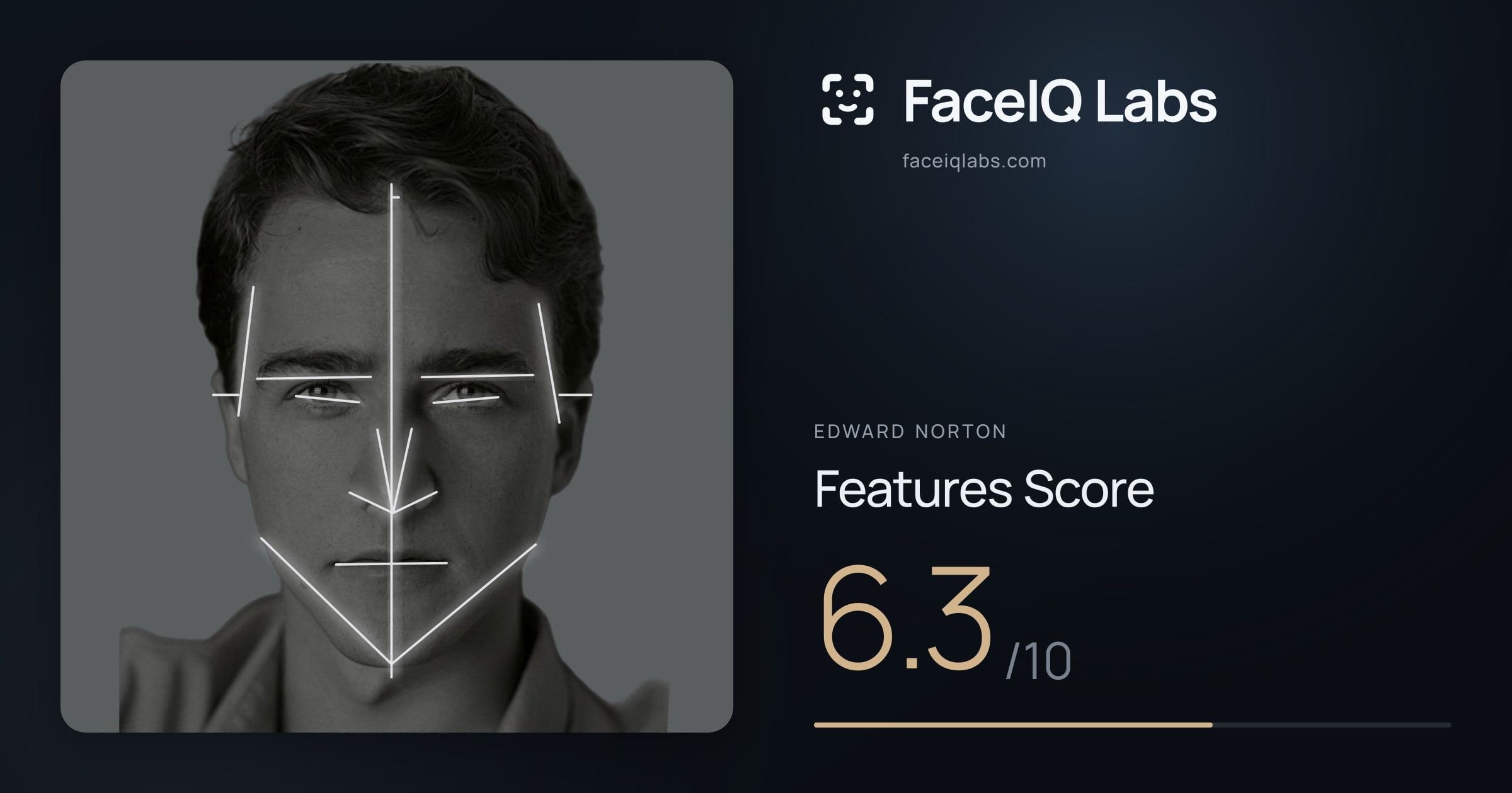 Edward Norton Features: 6.3/10, with each assessment drawn on the photo