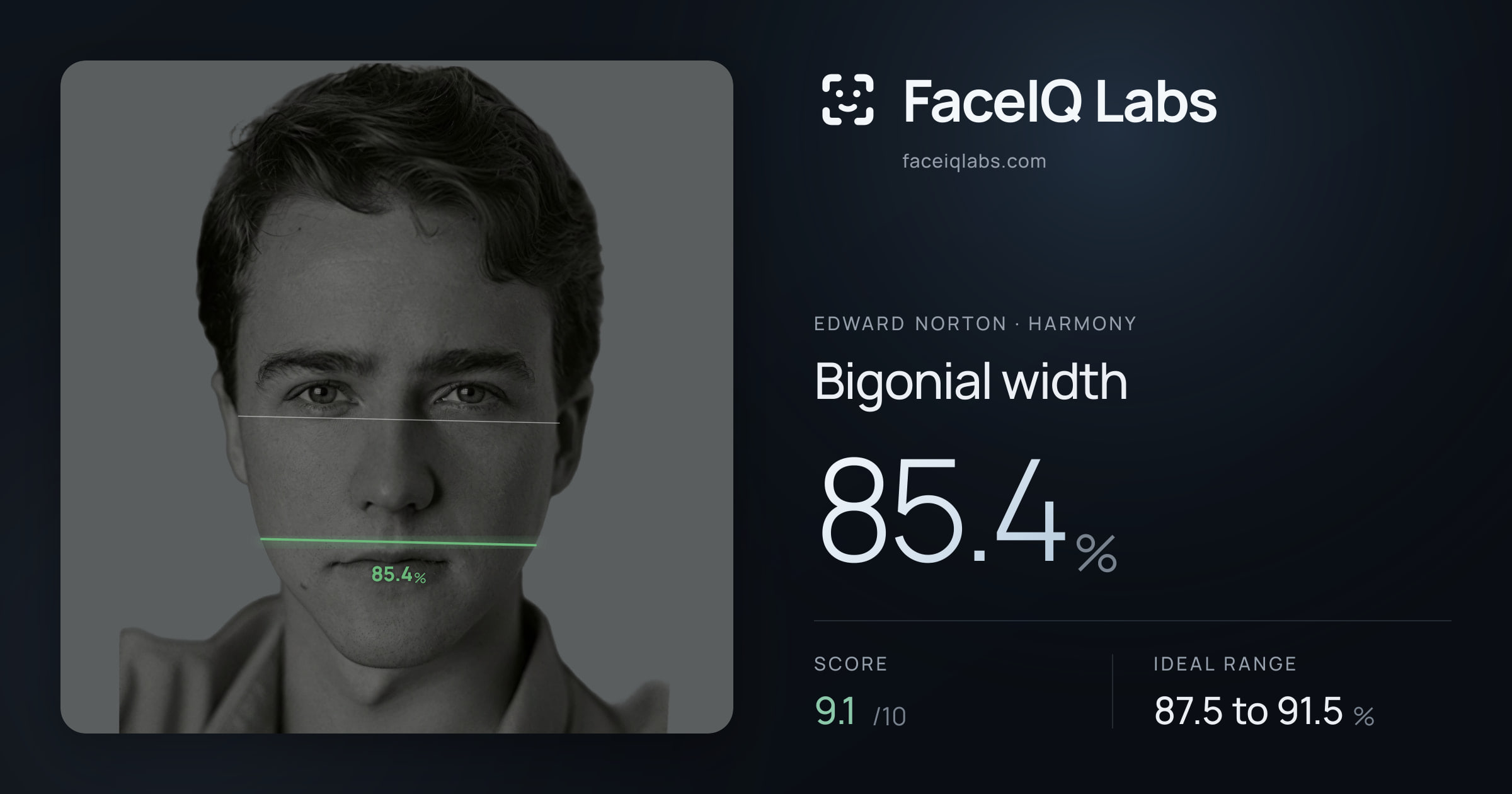 Edward Norton Bigonial width: 85.4%, drawn on the photo