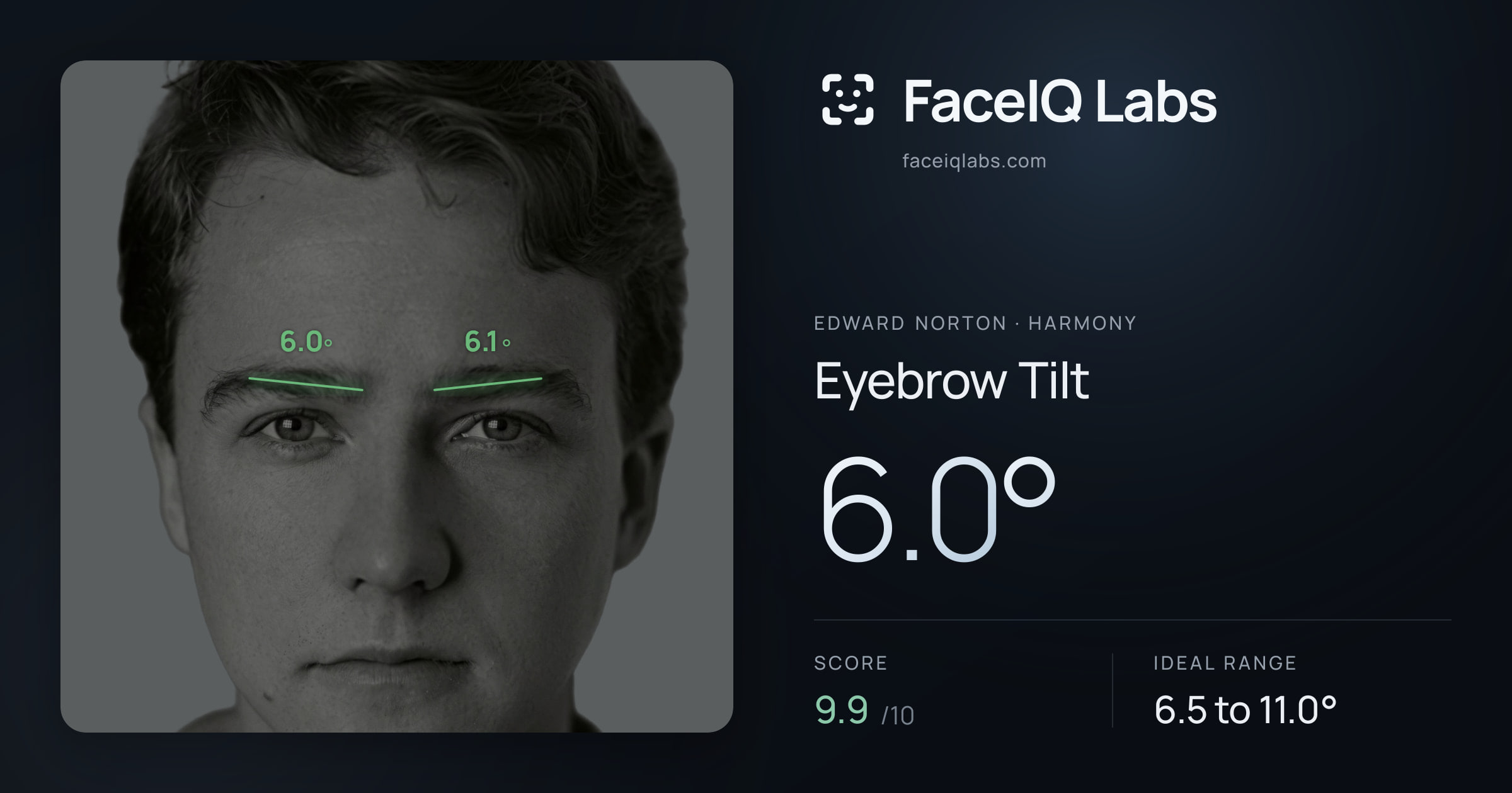 Edward Norton Eyebrow Tilt: 6.0°, drawn on the photo