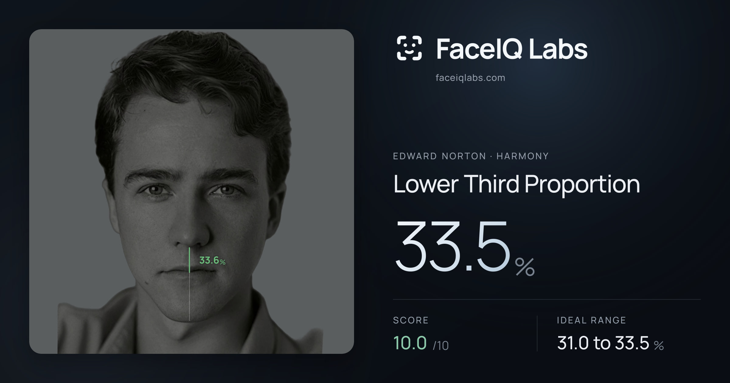 Edward Norton Lower Third Proportion: 33.5%, drawn on the photo