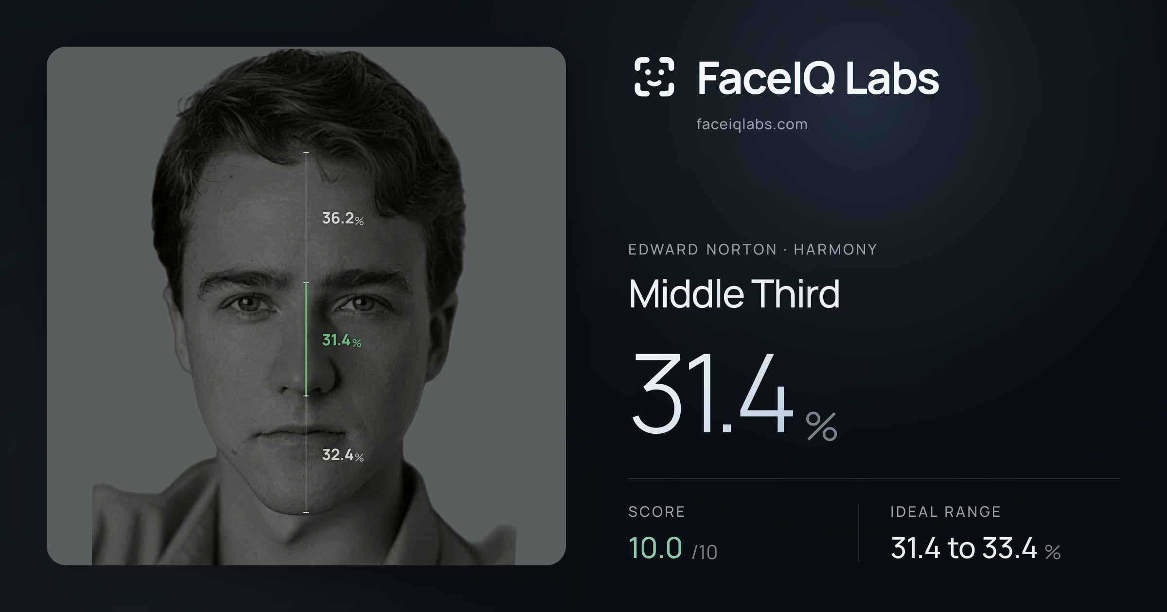 Edward Norton Middle Third: 31.4%, drawn on the photo