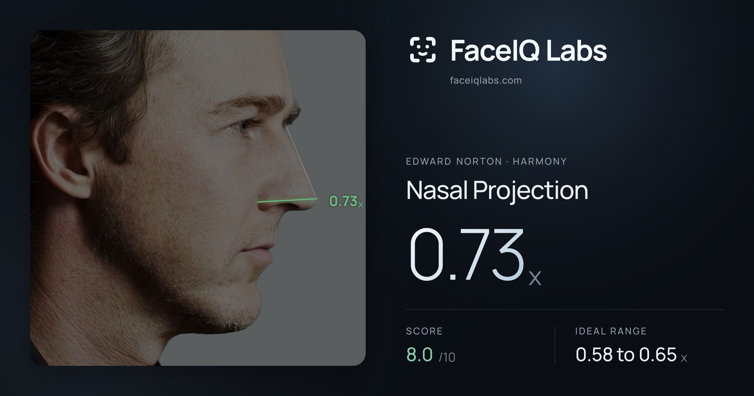 Edward Norton Nasal Projection: 0.73x, drawn on the photo