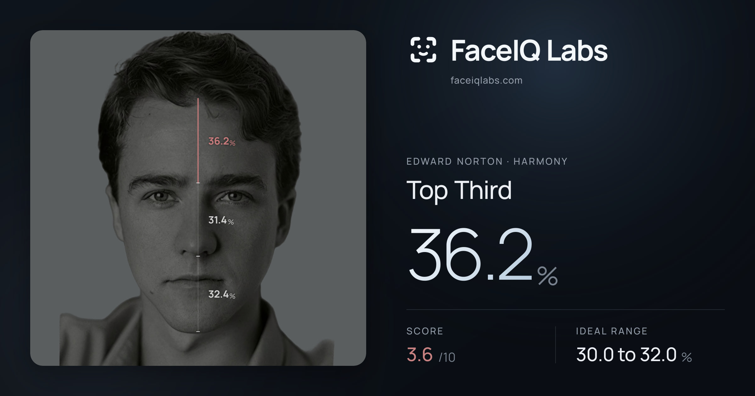 Edward Norton Top Third: 36.2%, drawn on the photo