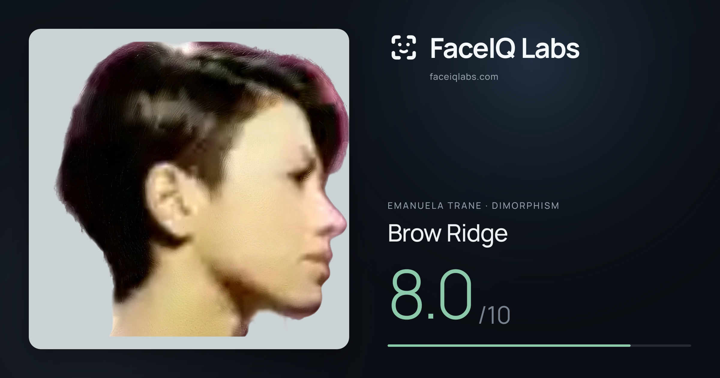 Emanuela Trane Brow Ridge: 8.0/10, drawn on the photo