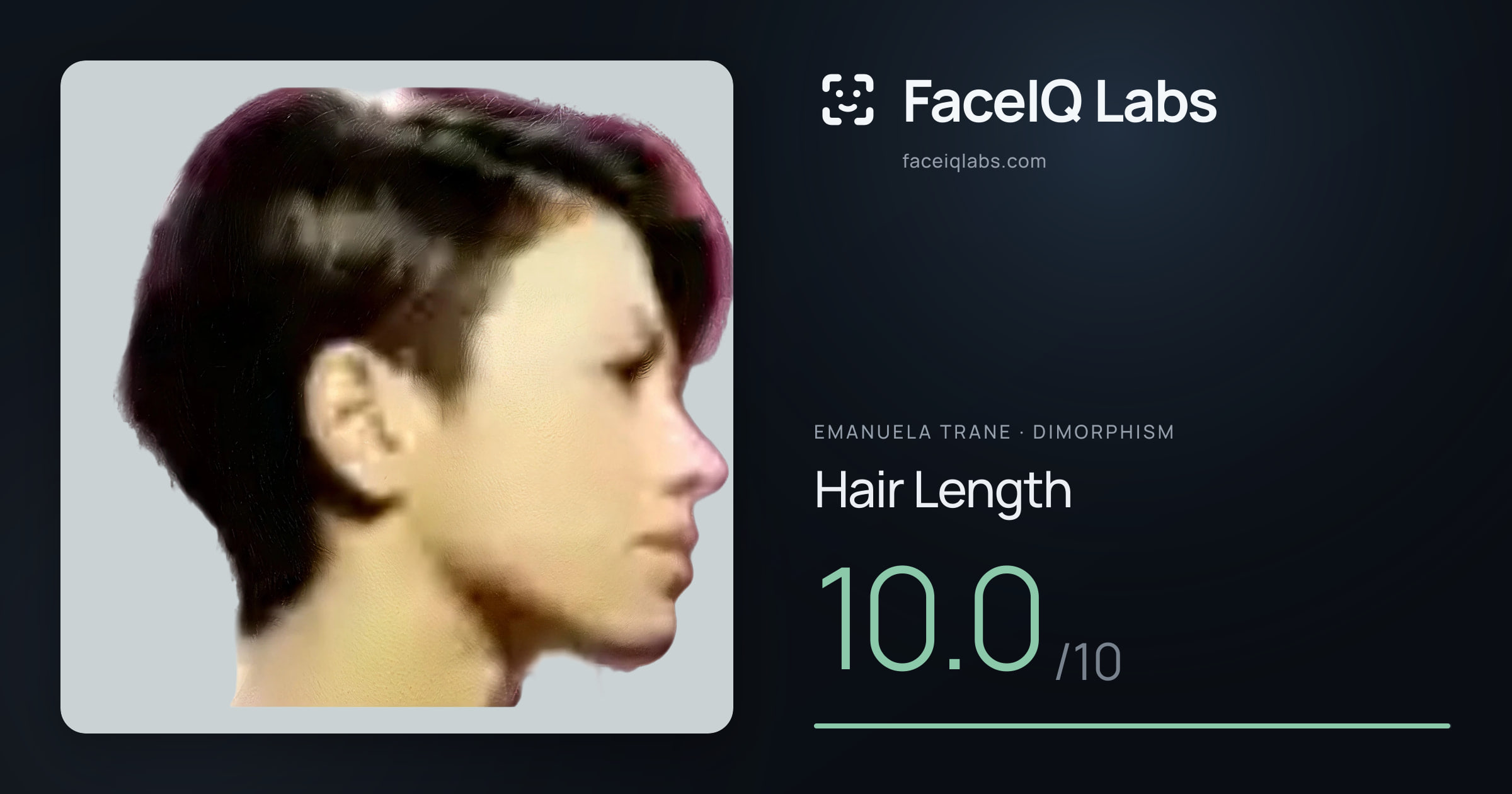 Emanuela Trane Hair Length: 10.0/10, drawn on the photo
