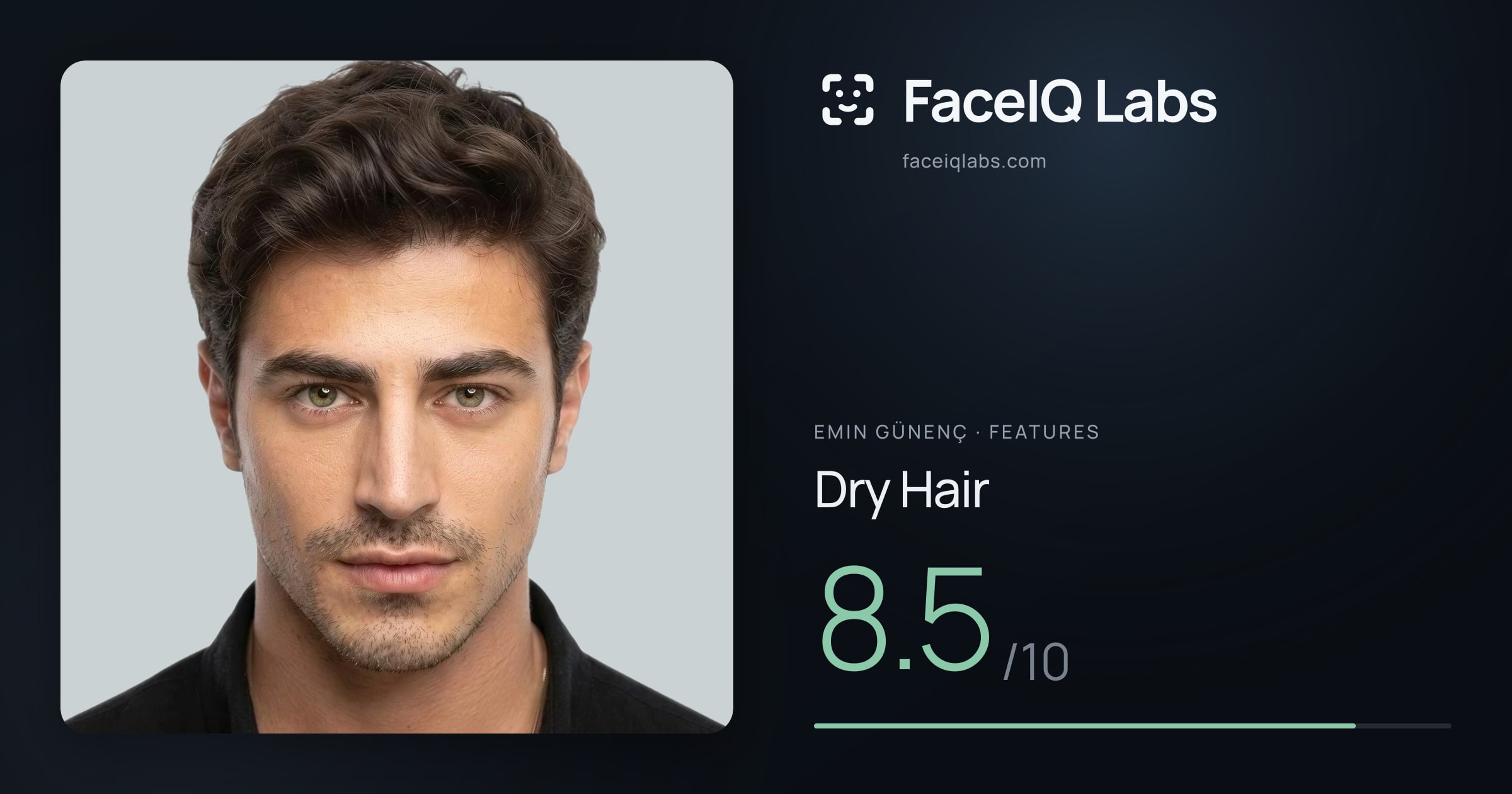 Emin Günenç Dry Hair: 8.5/10, drawn on the photo