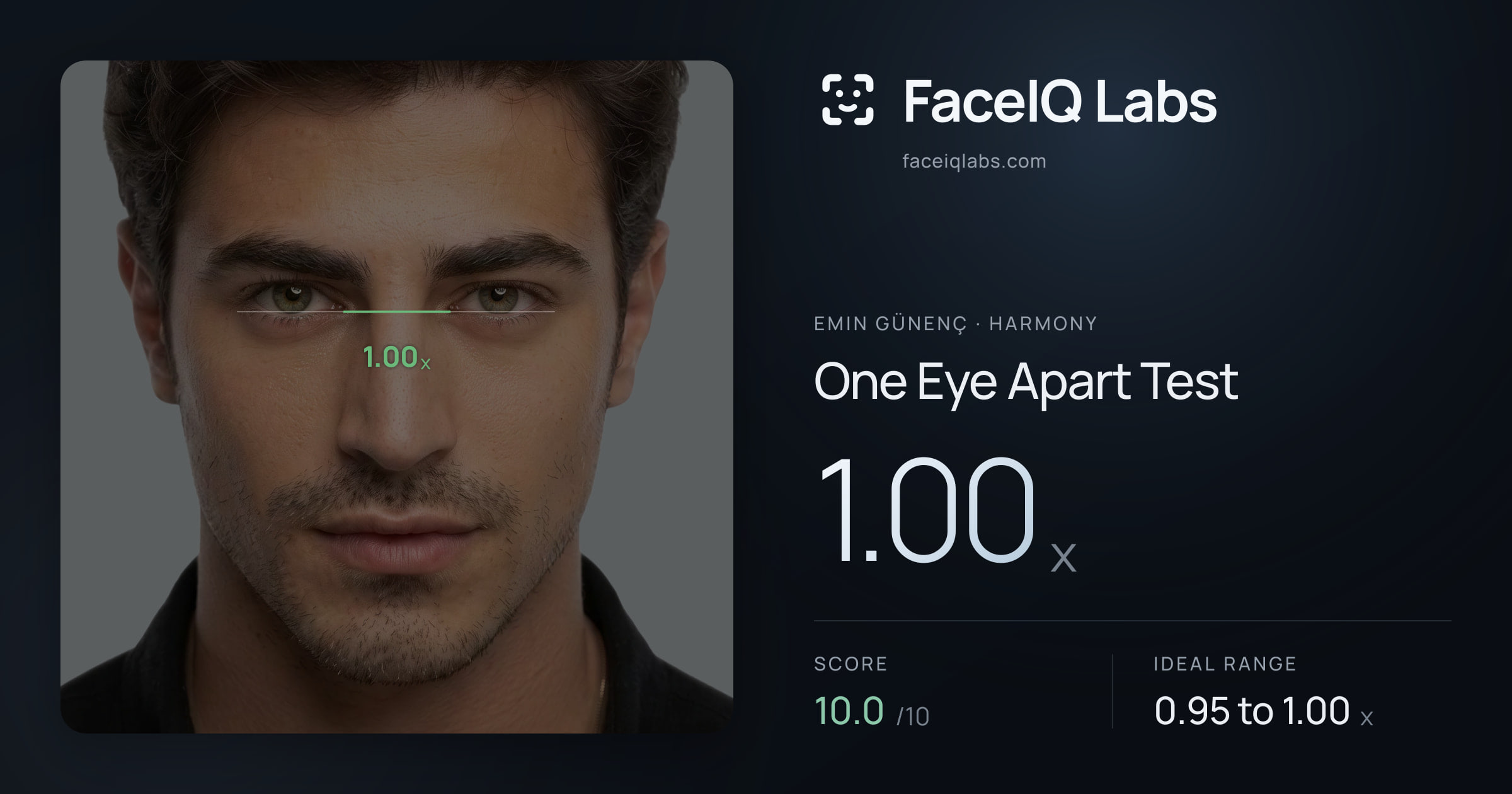 Emin Günenç One Eye Apart Test: 1.00x, drawn on the photo