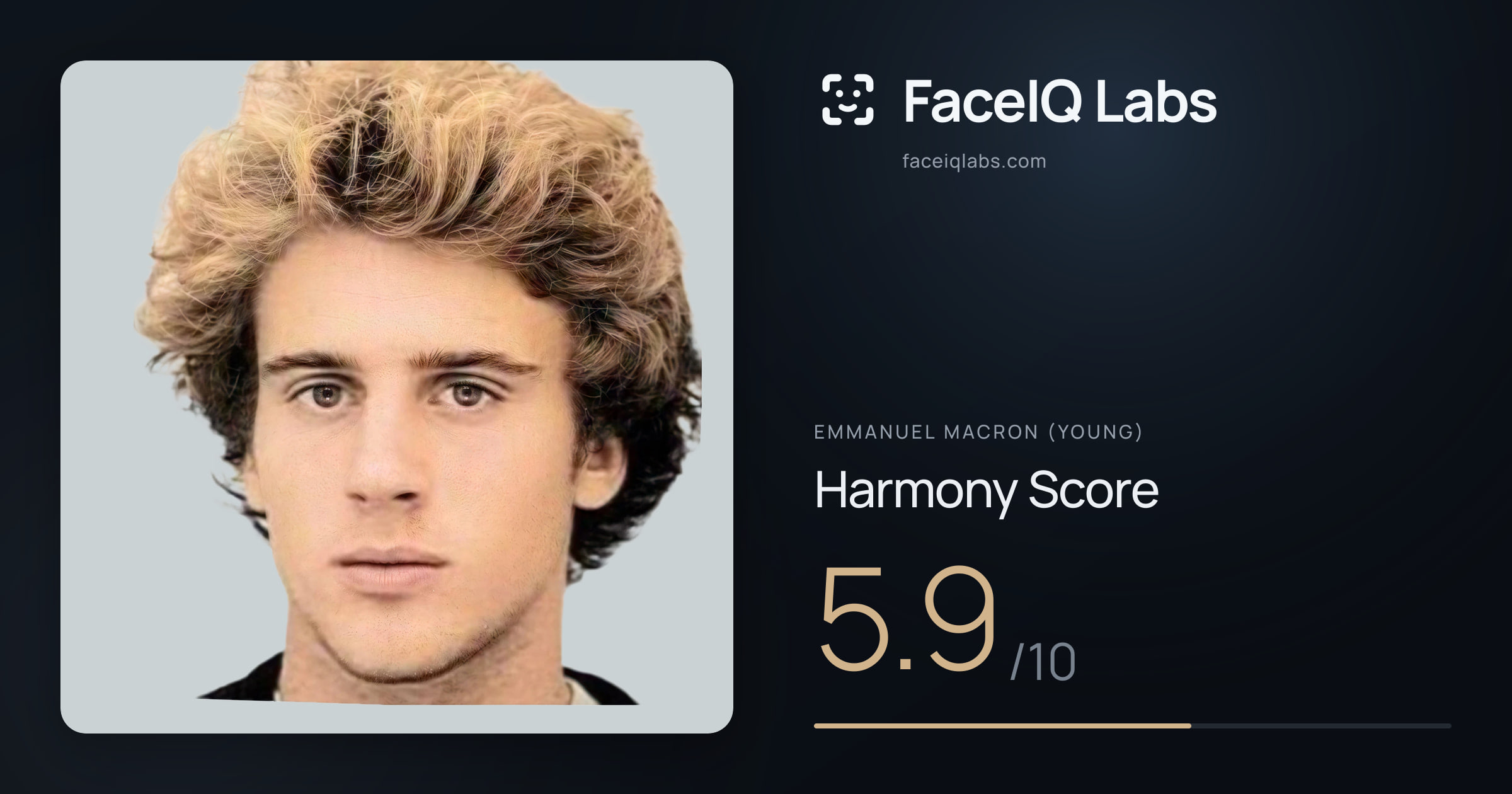 Emmanuel Macron (Young) Harmony: 5.9/10, with each ratio's score