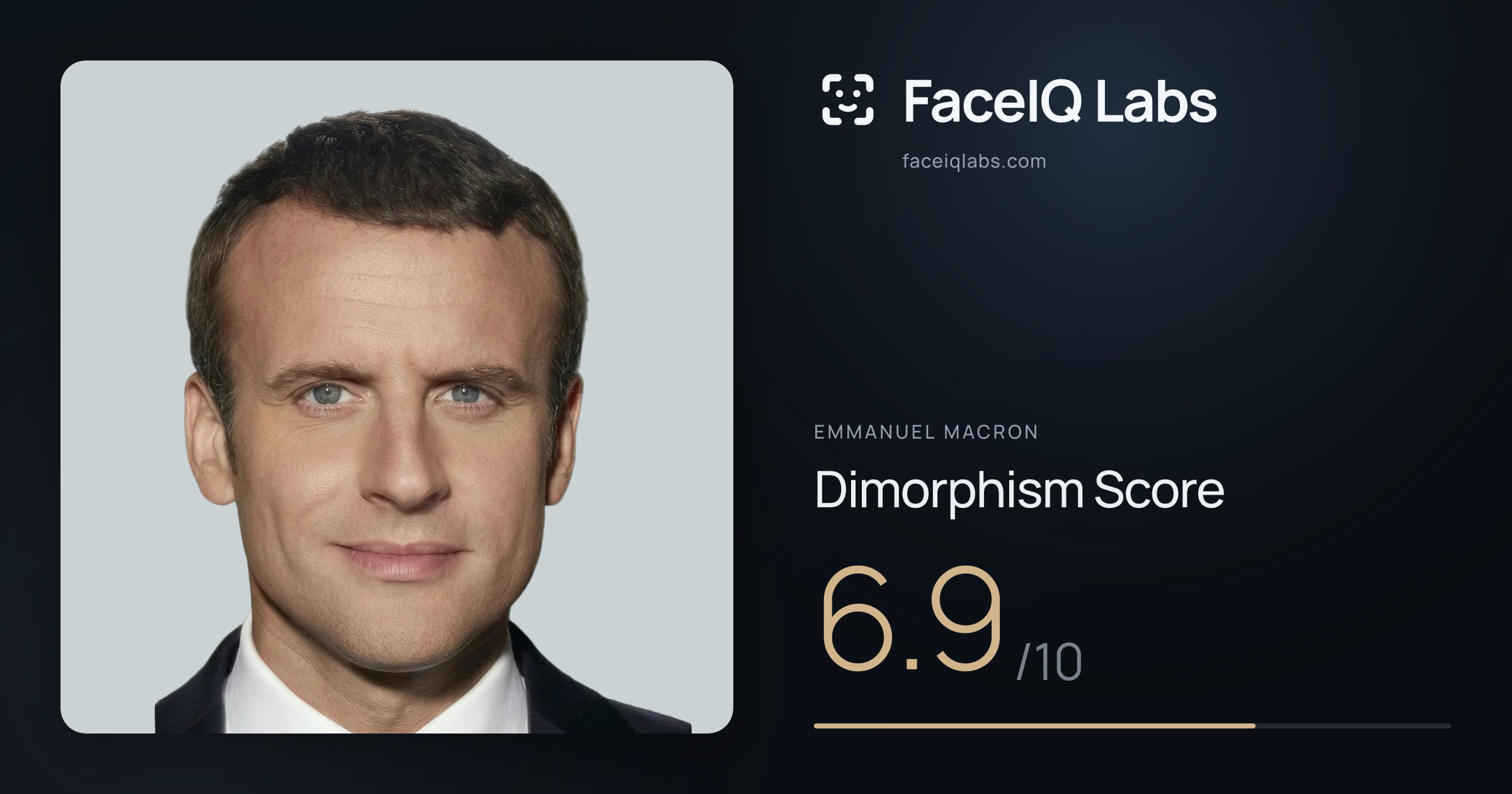 Emmanuel Macron Dimorphism: 6.9/10, with each assessment drawn on the photo