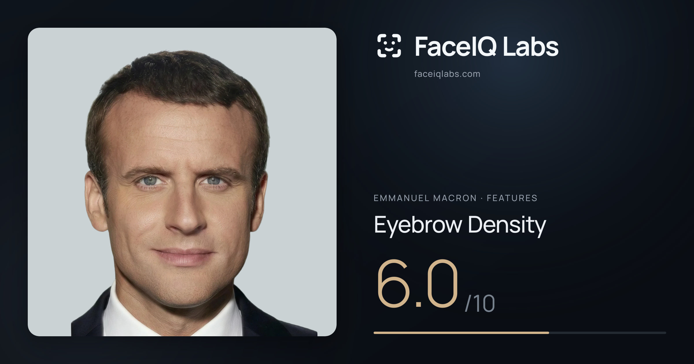 Emmanuel Macron Eyebrow Density: 6.0/10, drawn on the photo