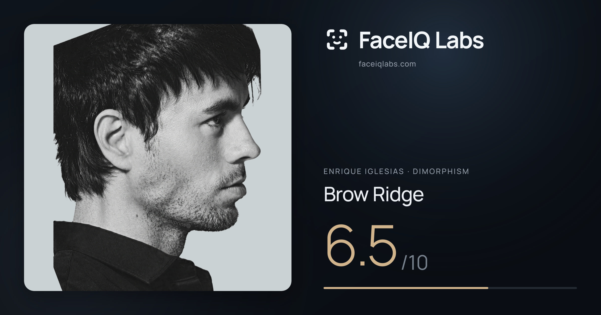 Enrique Iglesias Brow Ridge: 6.5/10, drawn on the photo