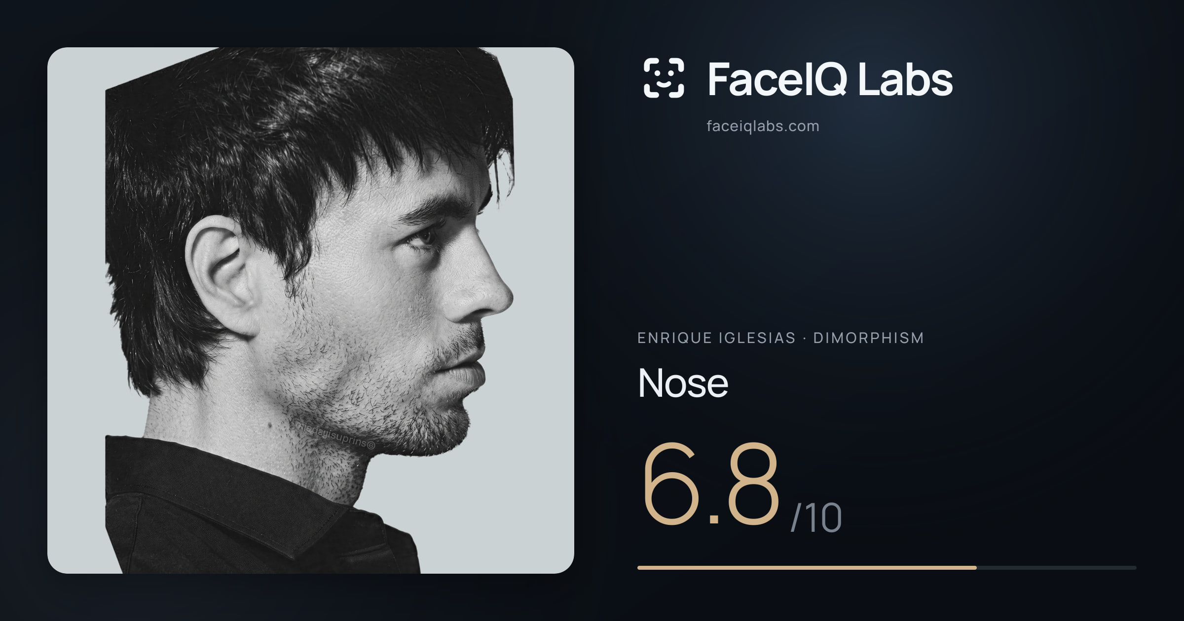Enrique Iglesias Nose: 6.8/10, drawn on the photo