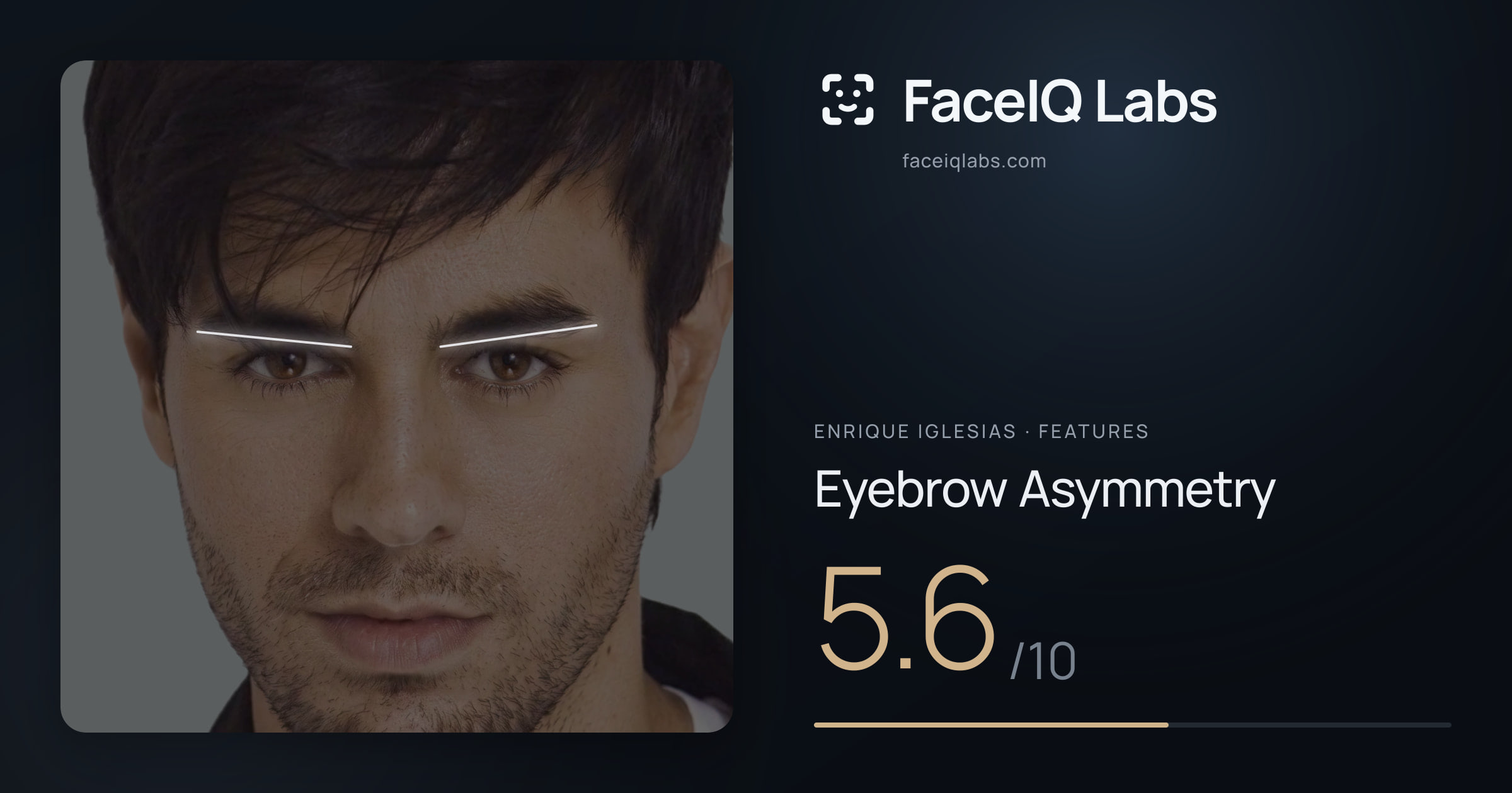 Enrique Iglesias Eyebrow Asymmetry: 5.6/10, drawn on the photo
