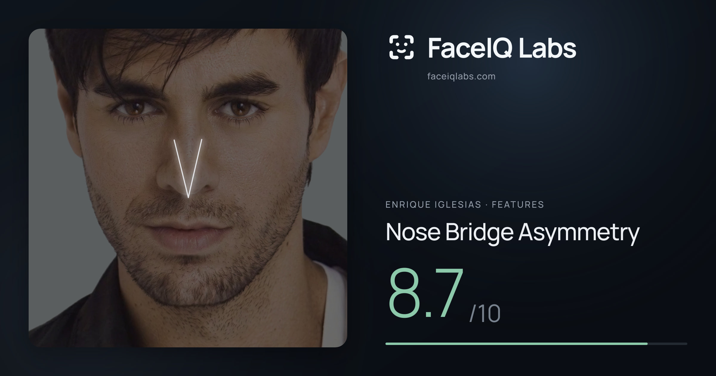 Enrique Iglesias Nose Bridge Asymmetry: 8.7/10, drawn on the photo