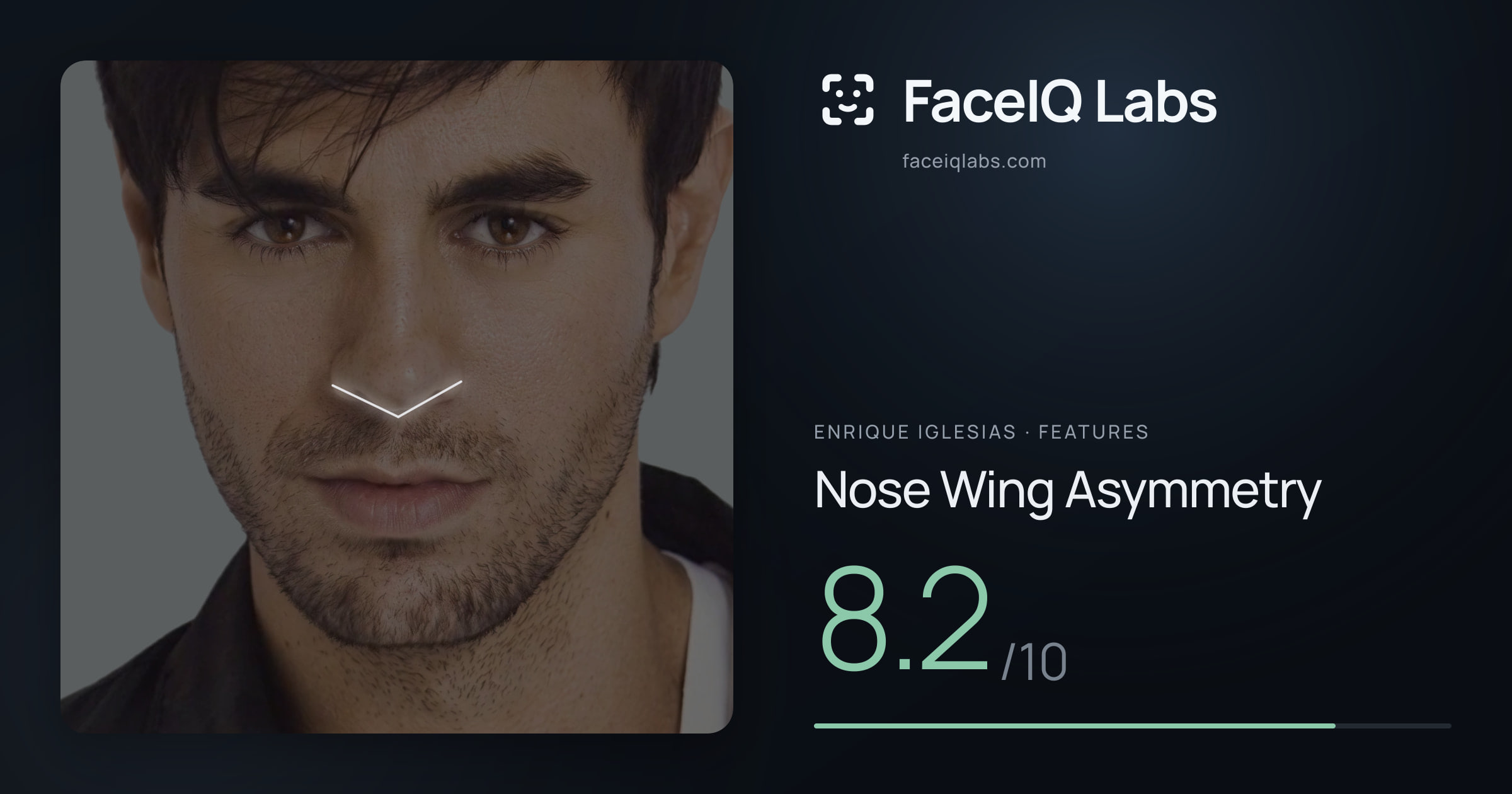 Enrique Iglesias Nose Wing Asymmetry: 8.2/10, drawn on the photo