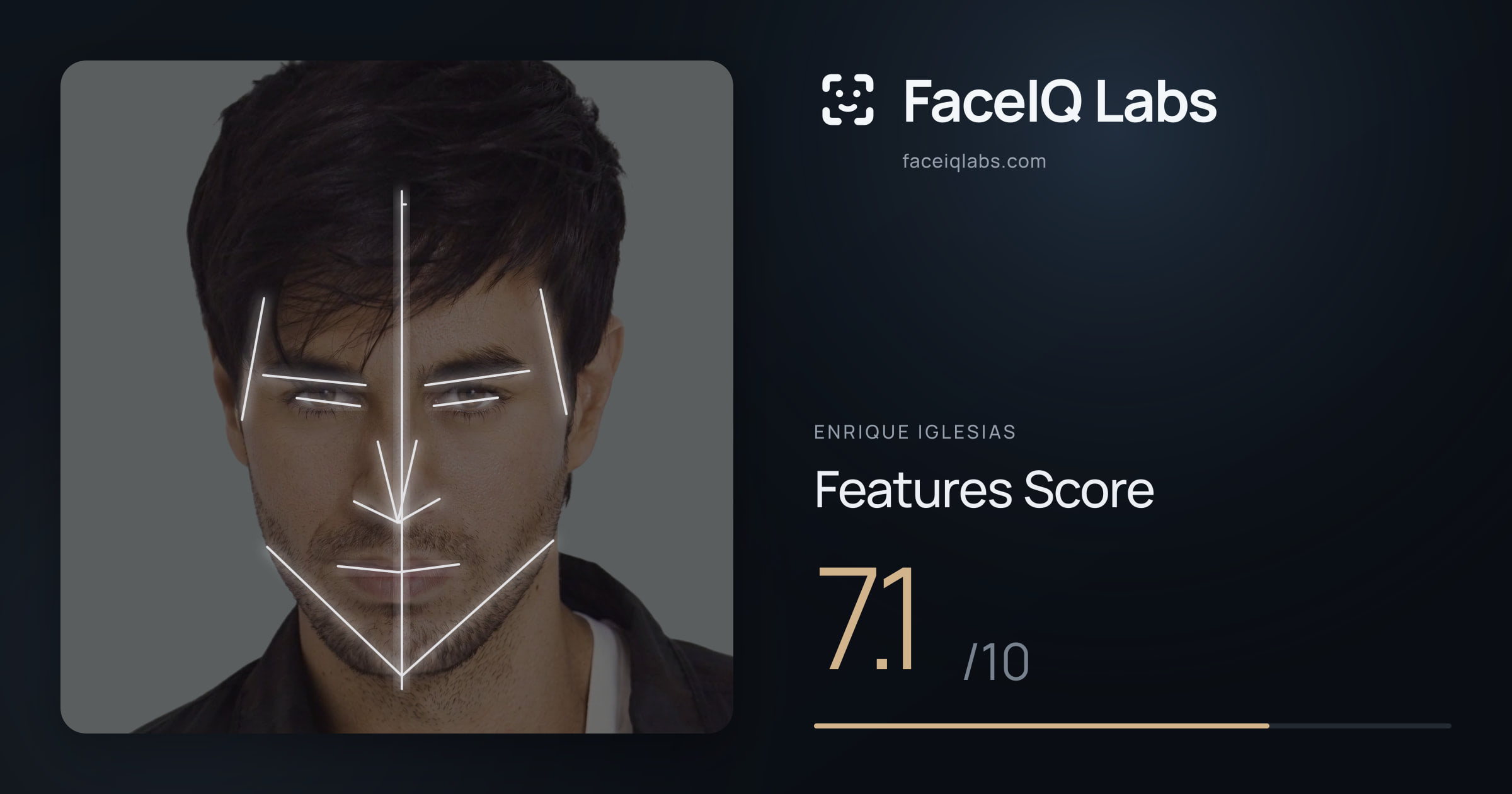 Enrique Iglesias Features: 7.1/10, with each assessment drawn on the photo