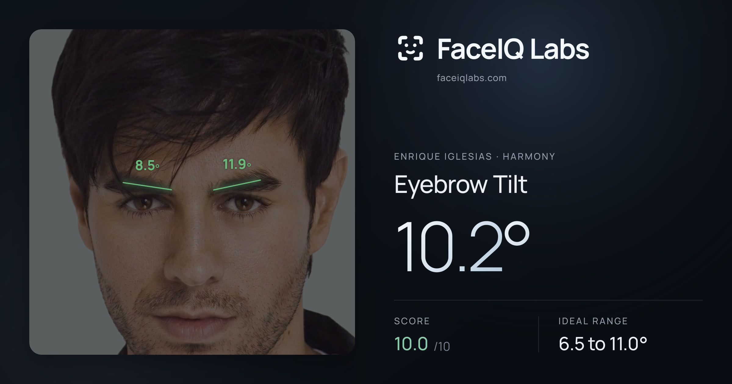 Enrique Iglesias Eyebrow Tilt: 10.2°, drawn on the photo