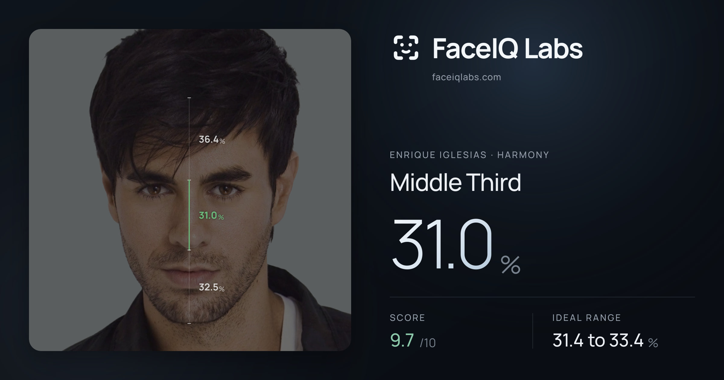 Enrique Iglesias Middle Third: 31.0%, drawn on the photo
