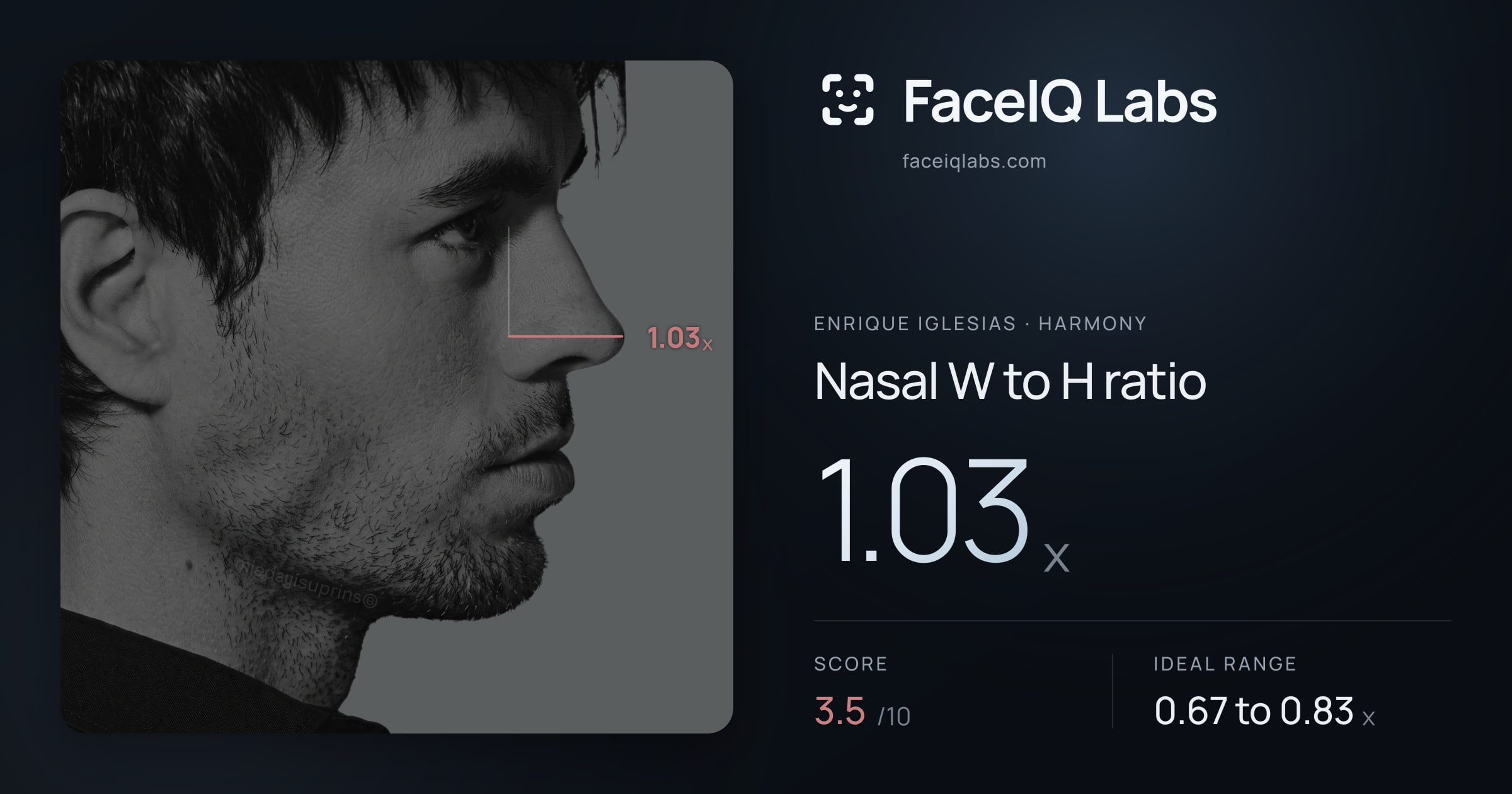 Enrique Iglesias Nasal W to H ratio: 1.03x, drawn on the photo
