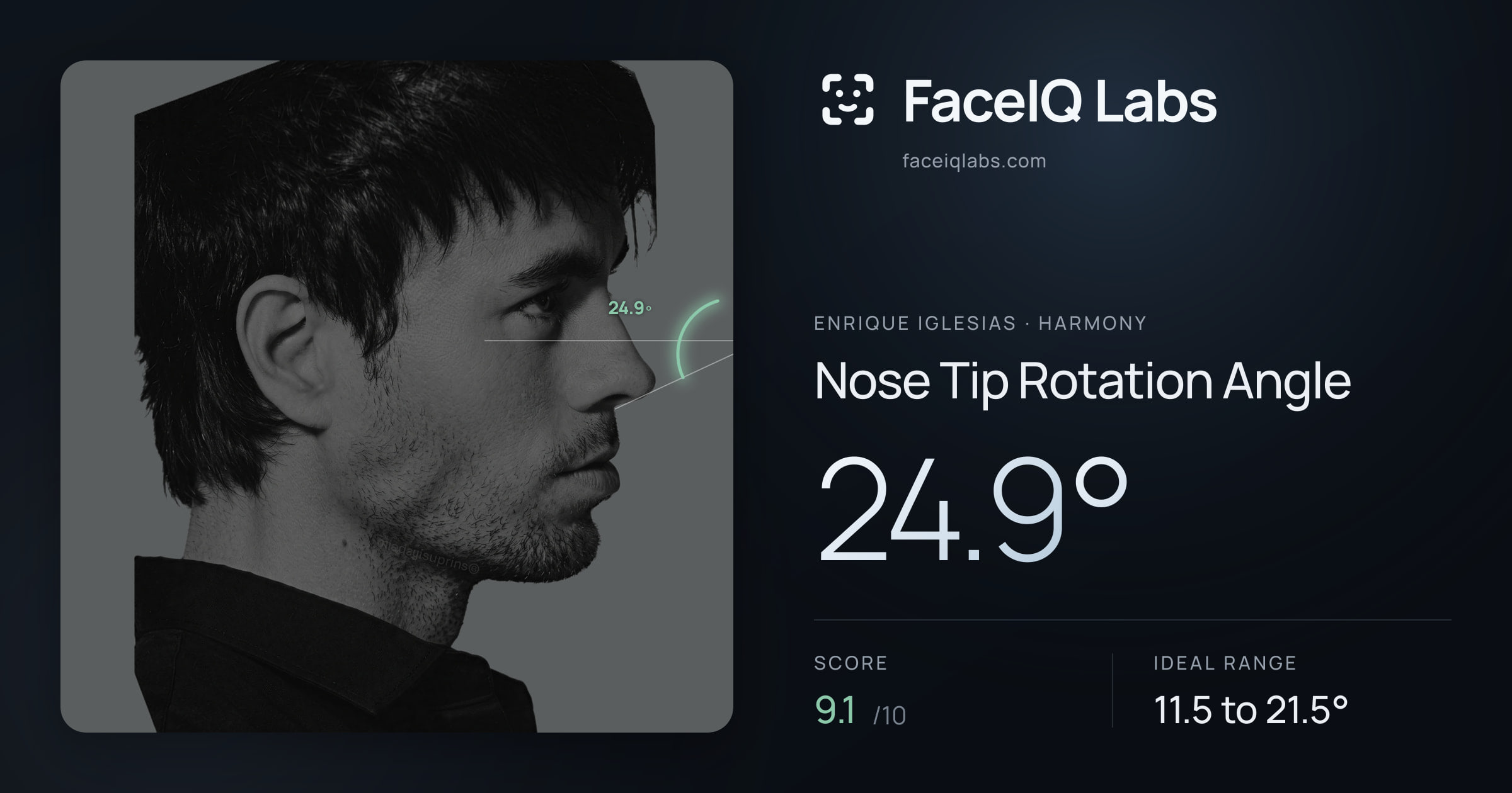 Enrique Iglesias Nose Tip Rotation Angle: 24.9°, drawn on the photo