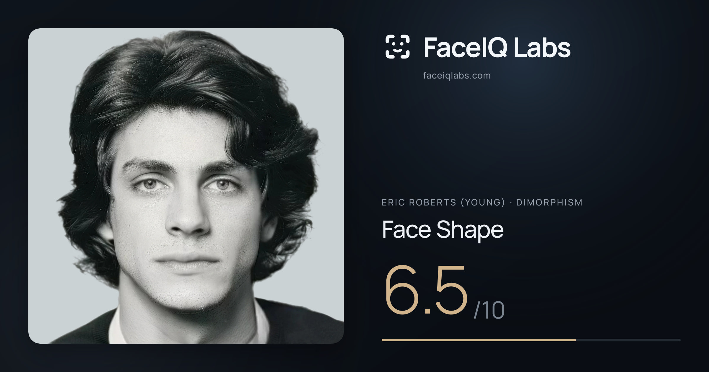 Eric Roberts (Young) Face Shape: 6.5/10, drawn on the photo