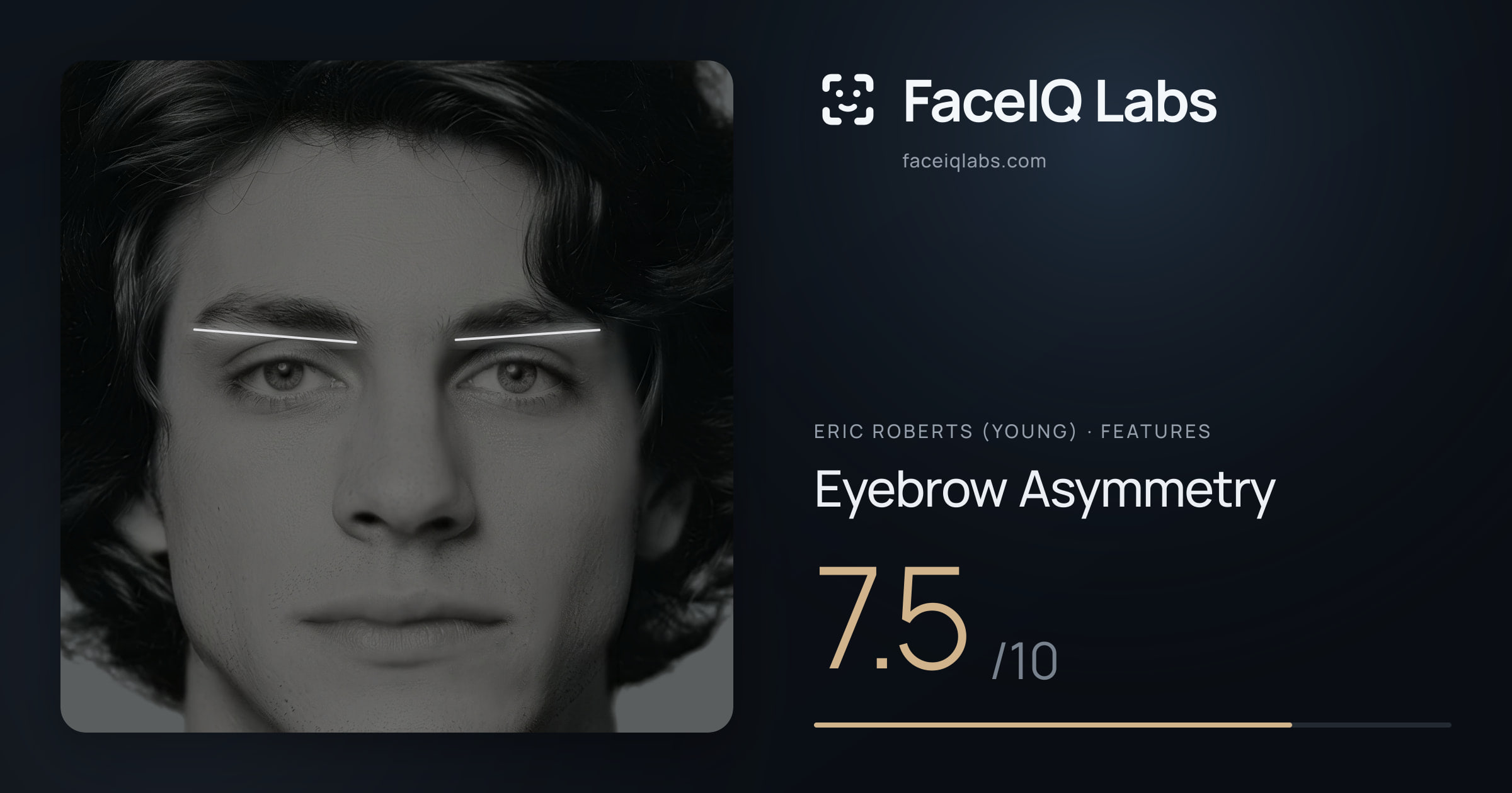 Eric Roberts (Young) Eyebrow Asymmetry: 7.5/10, drawn on the photo
