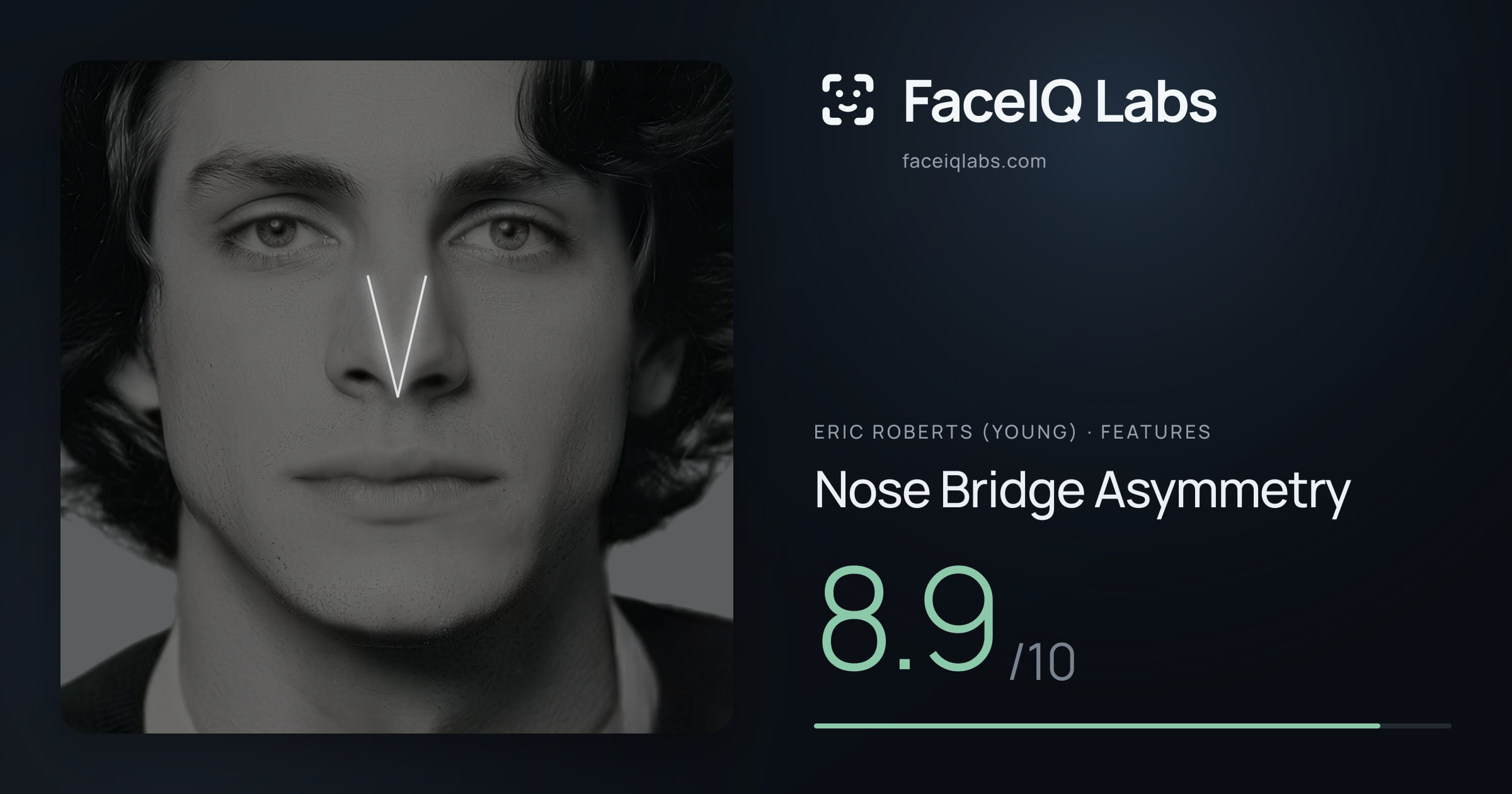Eric Roberts (Young) Nose Bridge Asymmetry: 8.6/10, drawn on the photo