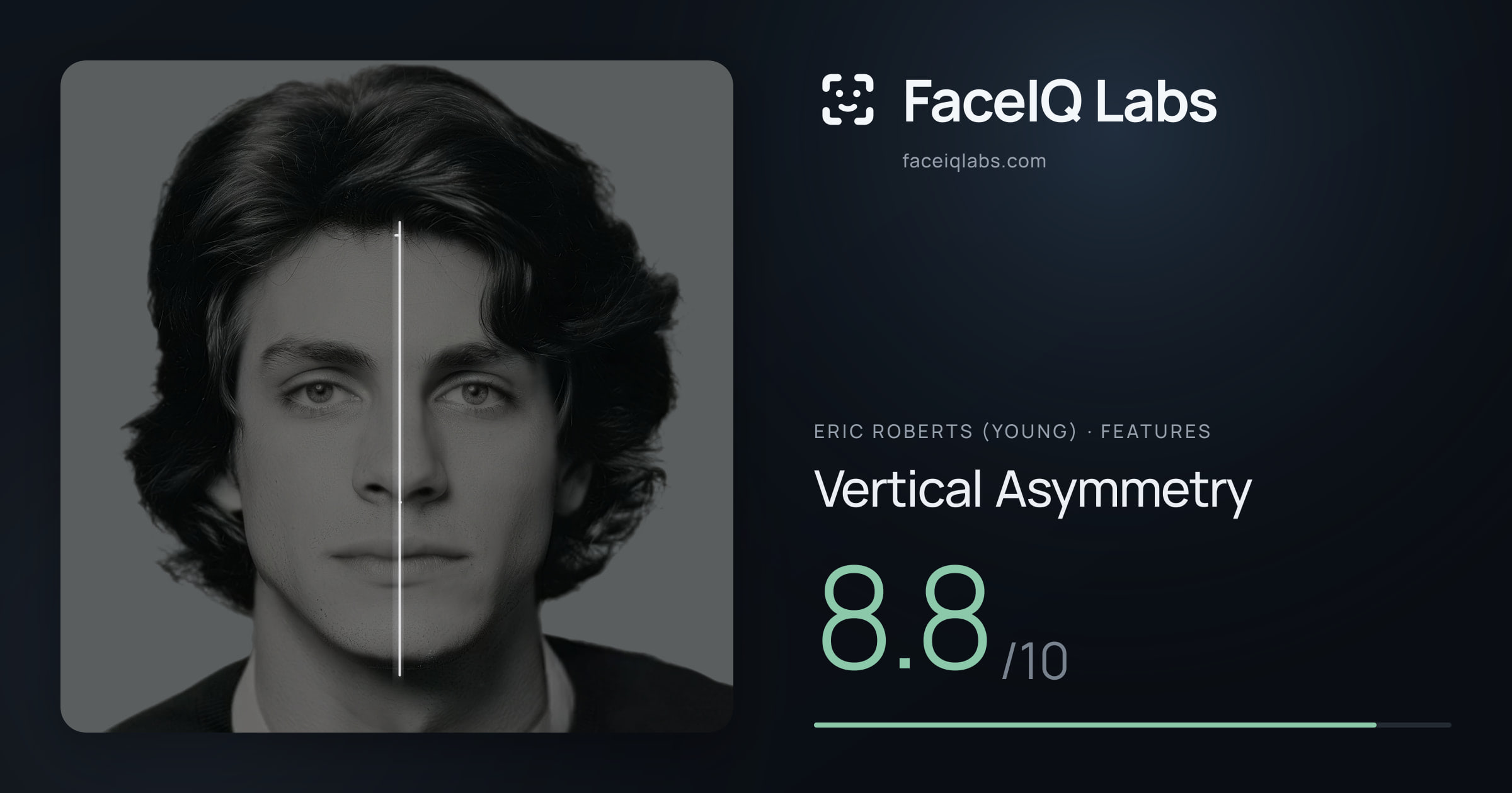 Eric Roberts (Young) Vertical Asymmetry: 8.8/10, drawn on the photo