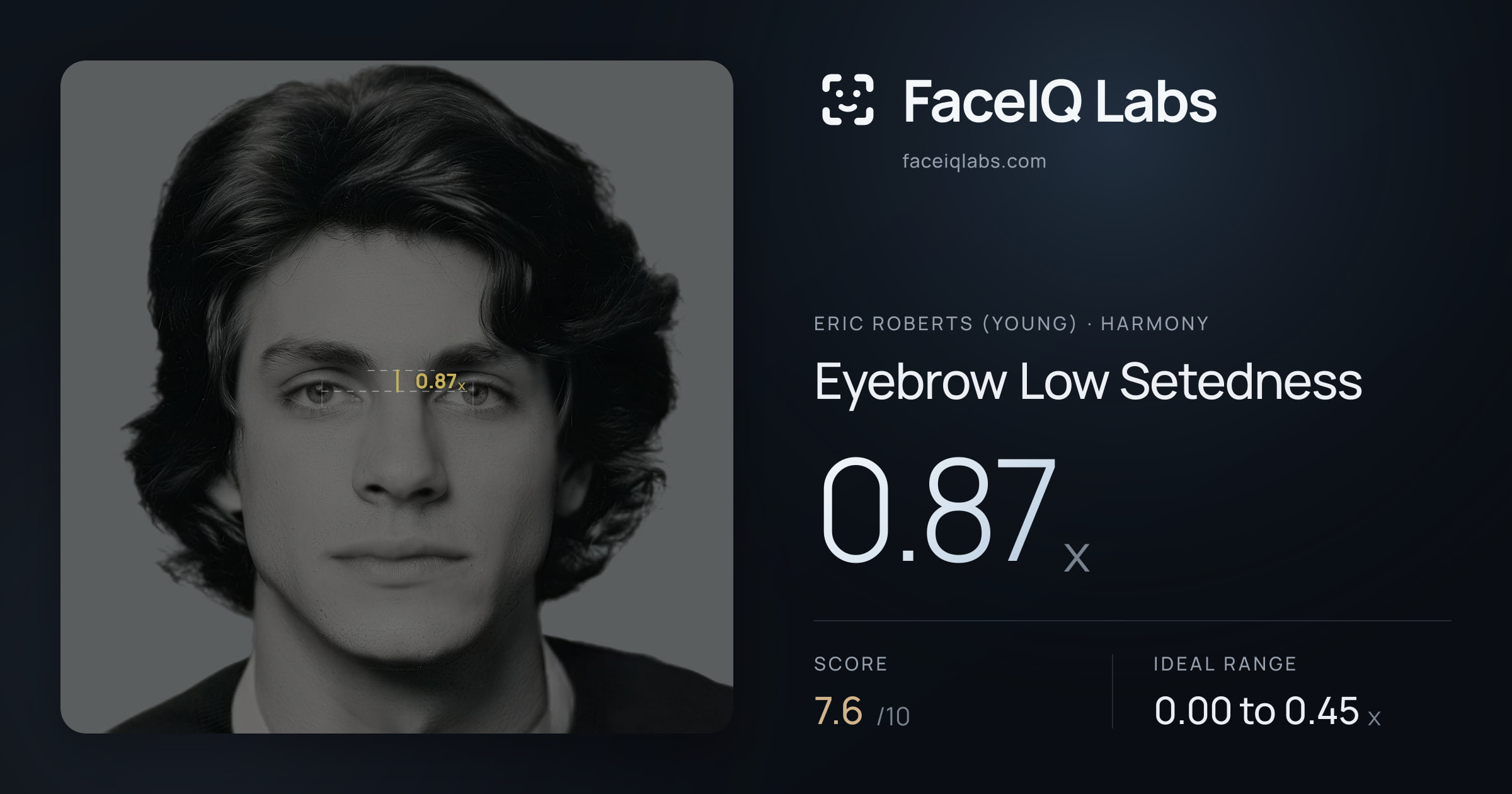 Eric Roberts (Young) Eyebrow Low Setedness: 0.87x, drawn on the photo