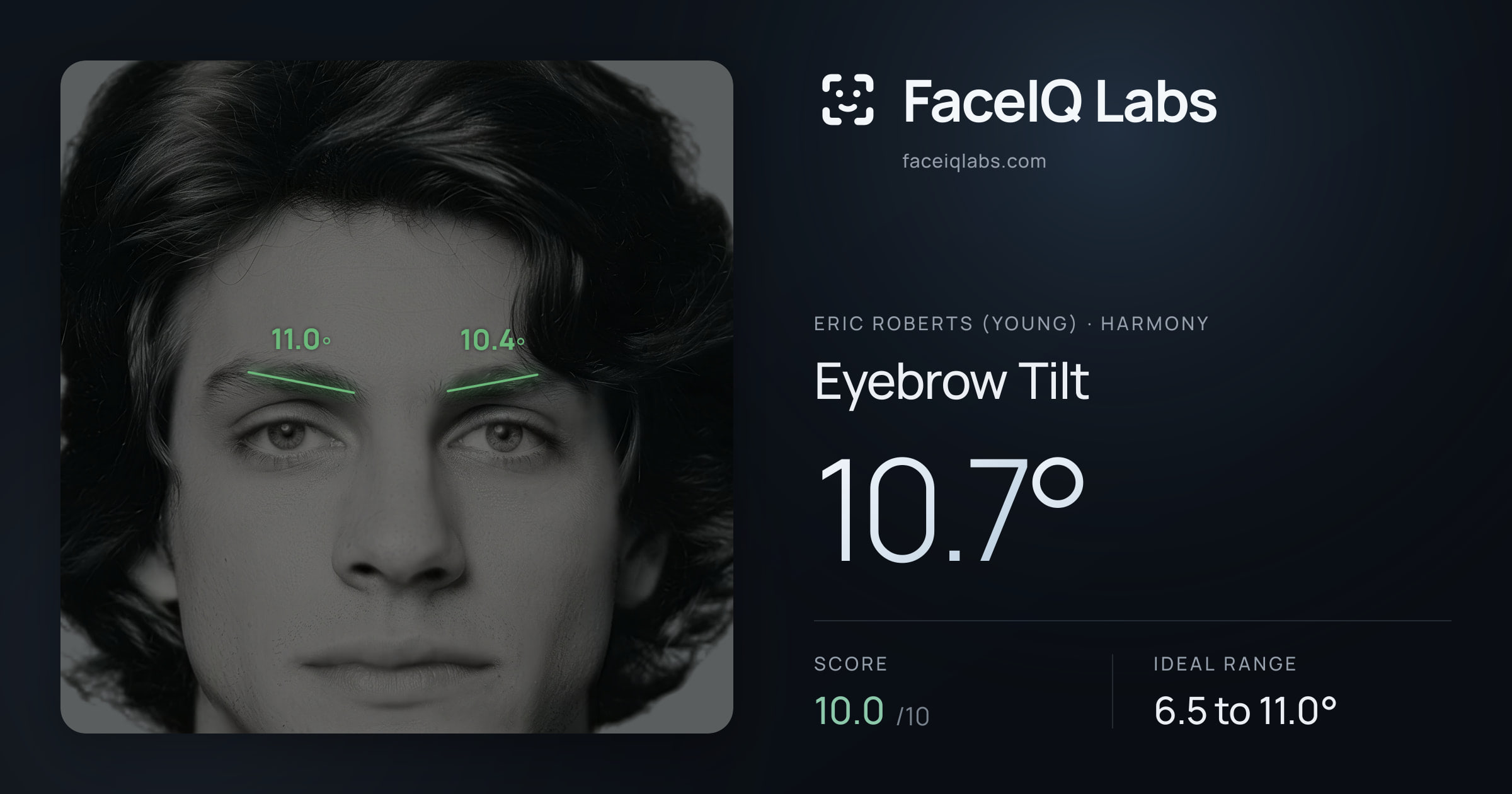Eric Roberts (Young) Eyebrow Tilt: 10.7°, drawn on the photo