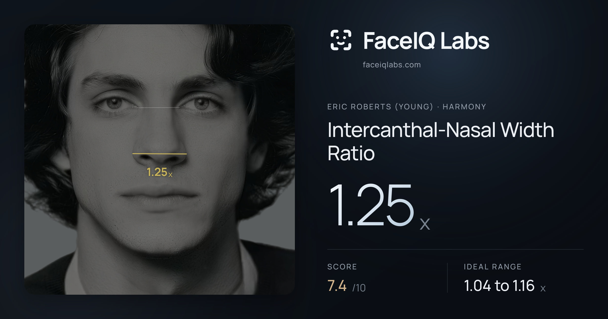 Eric Roberts (Young) Intercanthal-Nasal Width Ratio: 1.25x, drawn on the photo