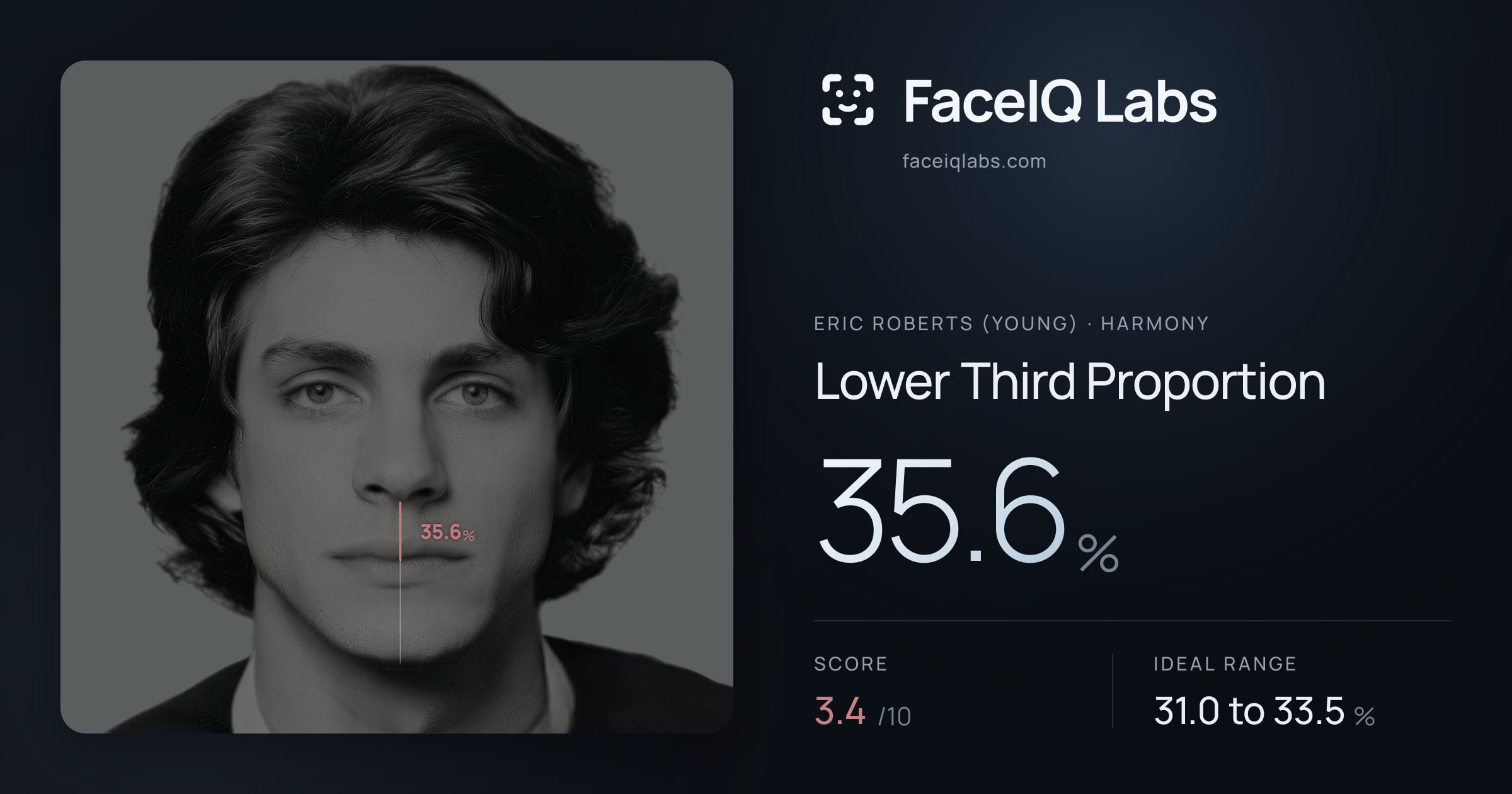 Eric Roberts (Young) Lower Third Proportion: 35.6%, drawn on the photo