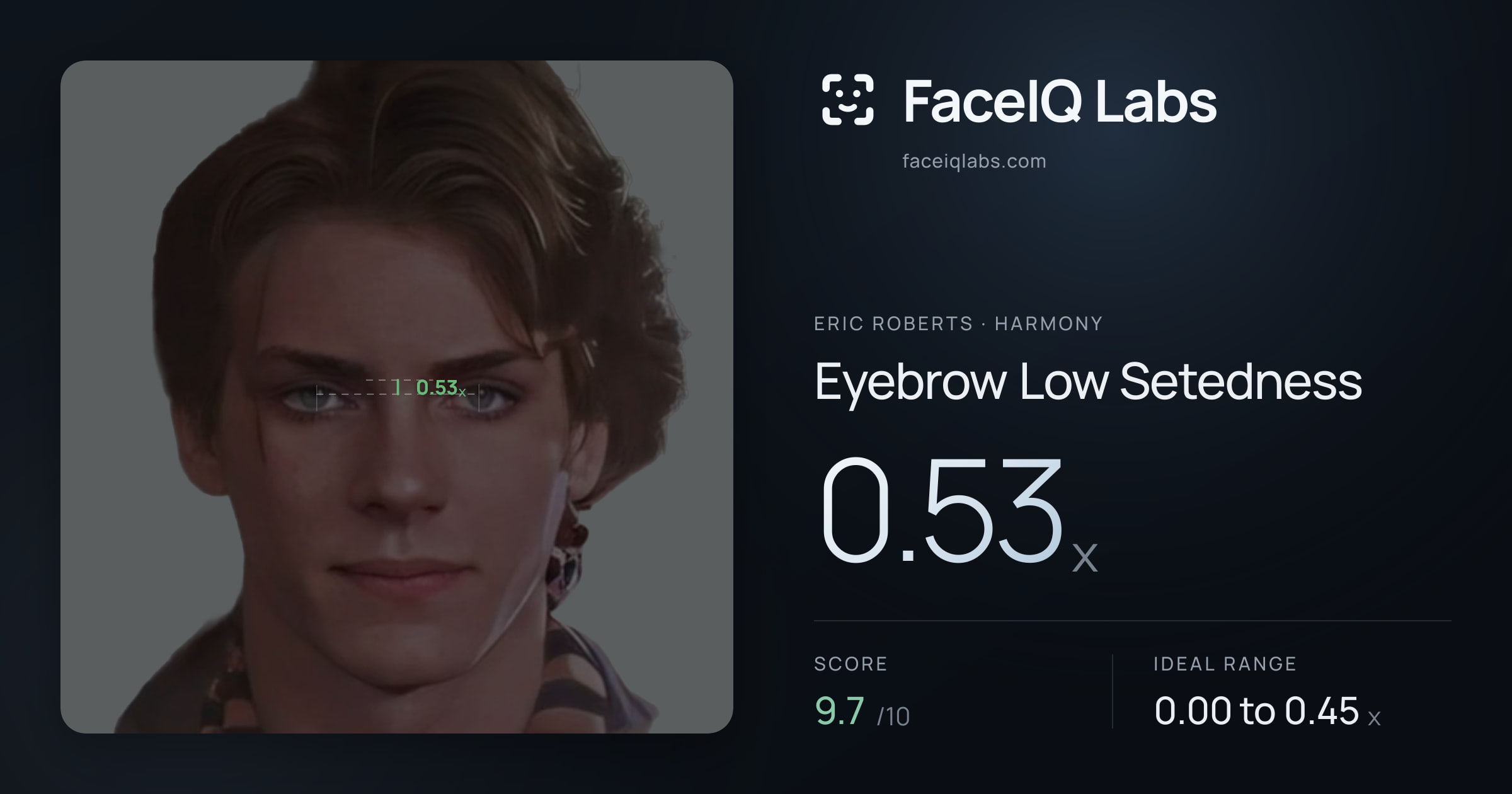 Eric Roberts Eyebrow Low Setedness: 0.53x, drawn on the photo