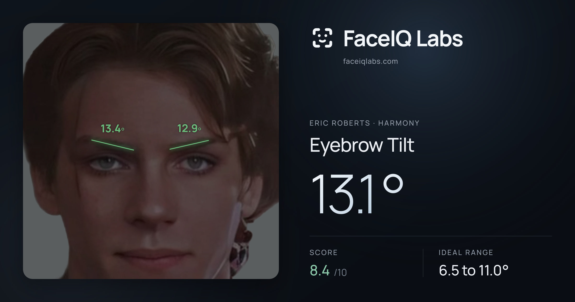Eric Roberts Eyebrow Tilt: 13.1°, drawn on the photo