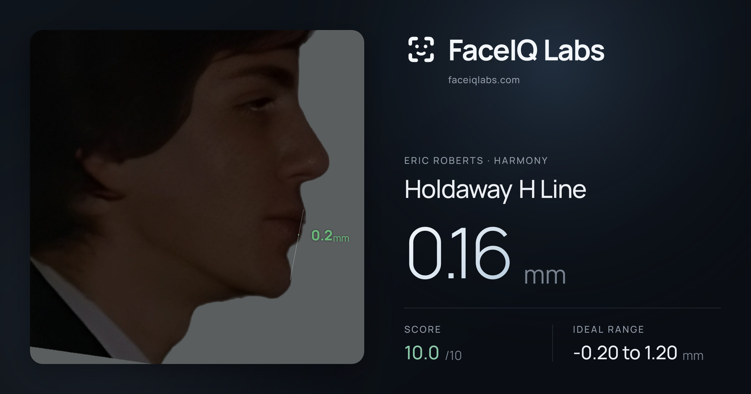 Eric Roberts Holdaway H Line: 0.16mm, drawn on the photo