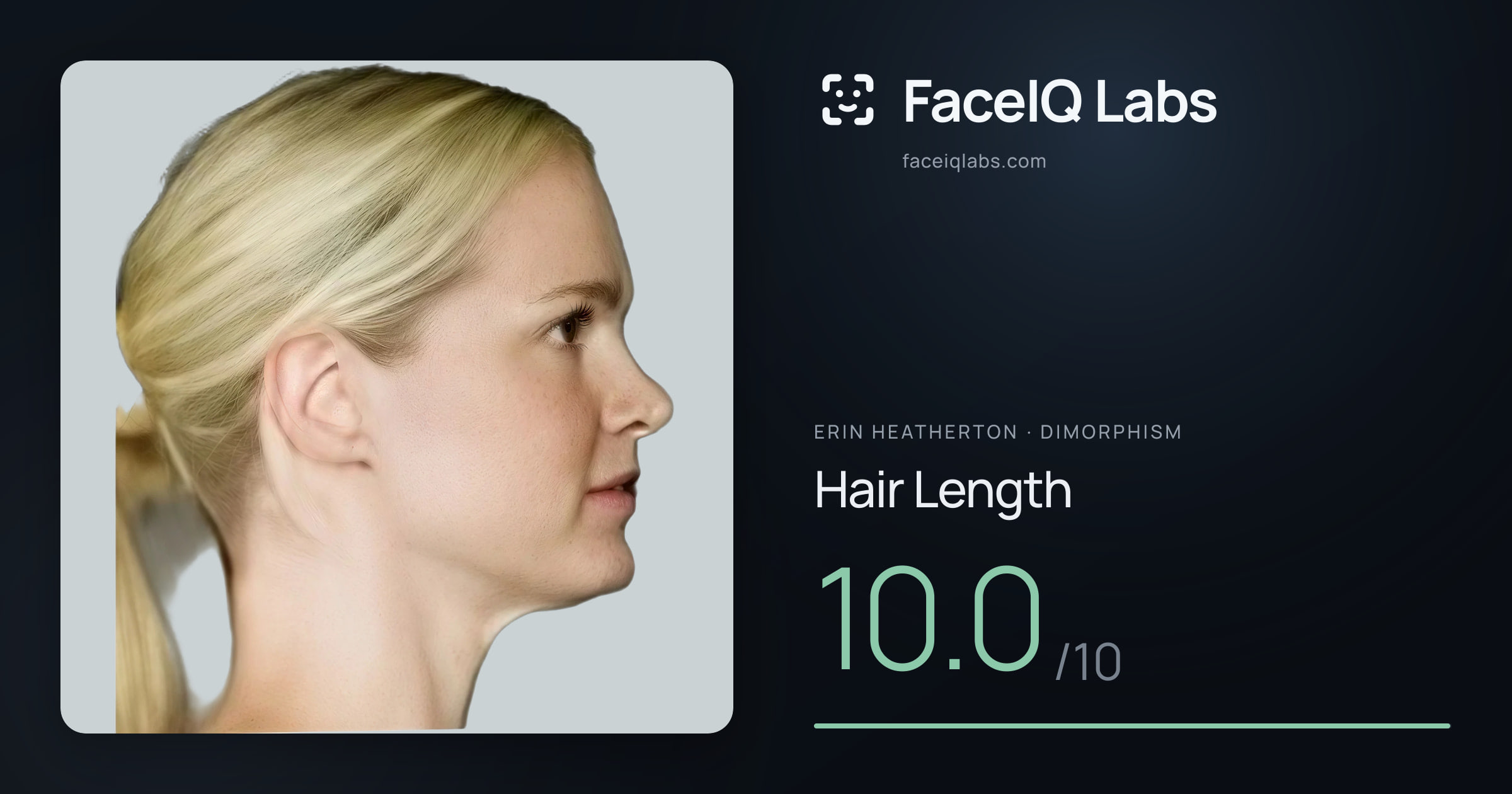 Erin Heatherton Hair Length: 10.0/10, drawn on the photo