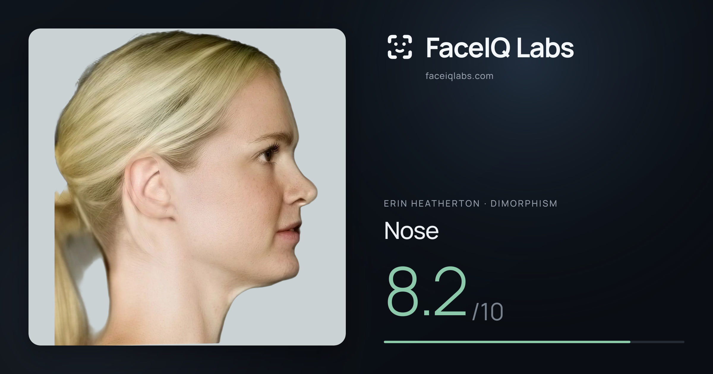 Erin Heatherton Nose: 8.2/10, drawn on the photo
