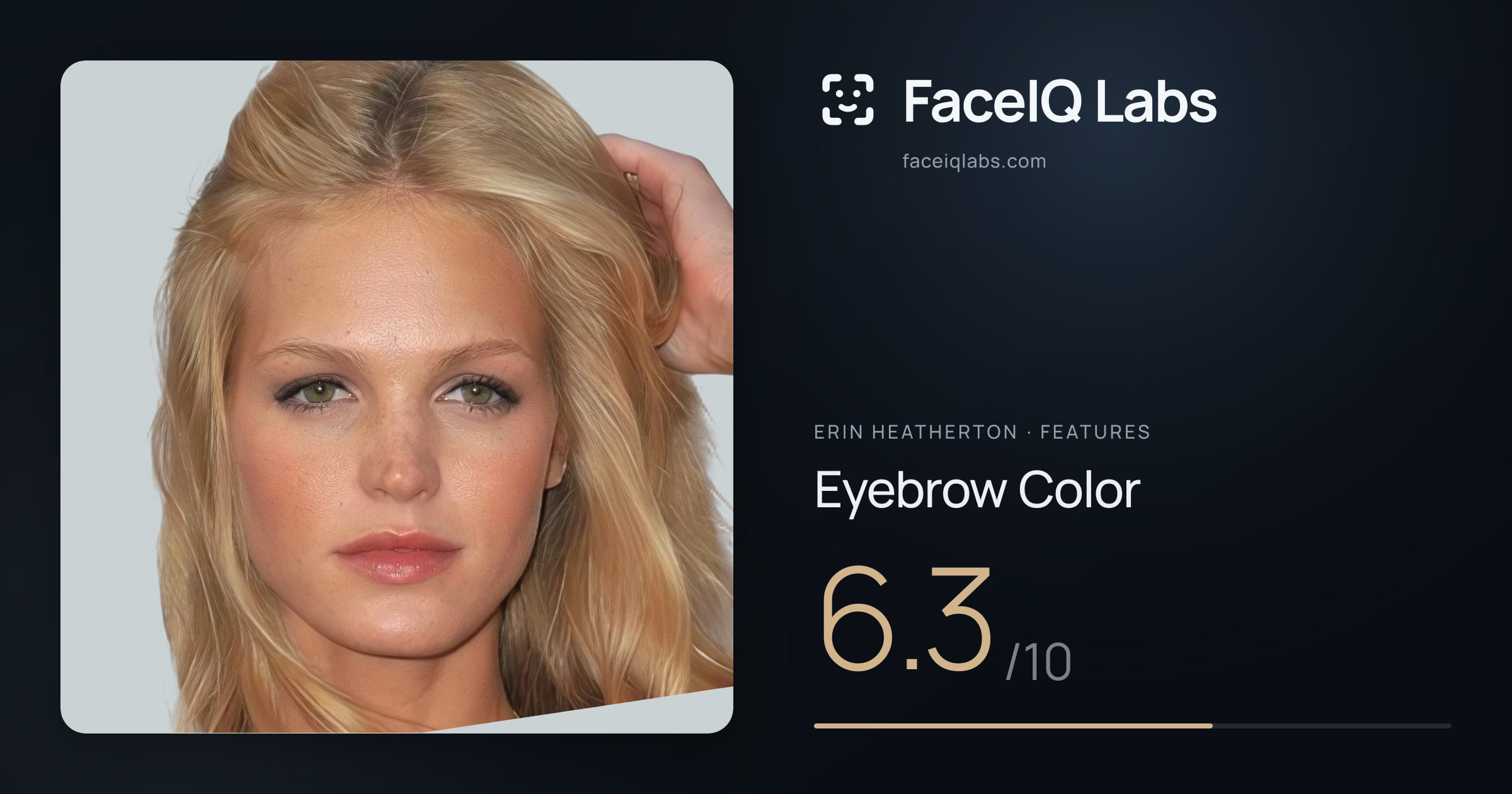 Erin Heatherton Eyebrow Color: 6.3/10, drawn on the photo