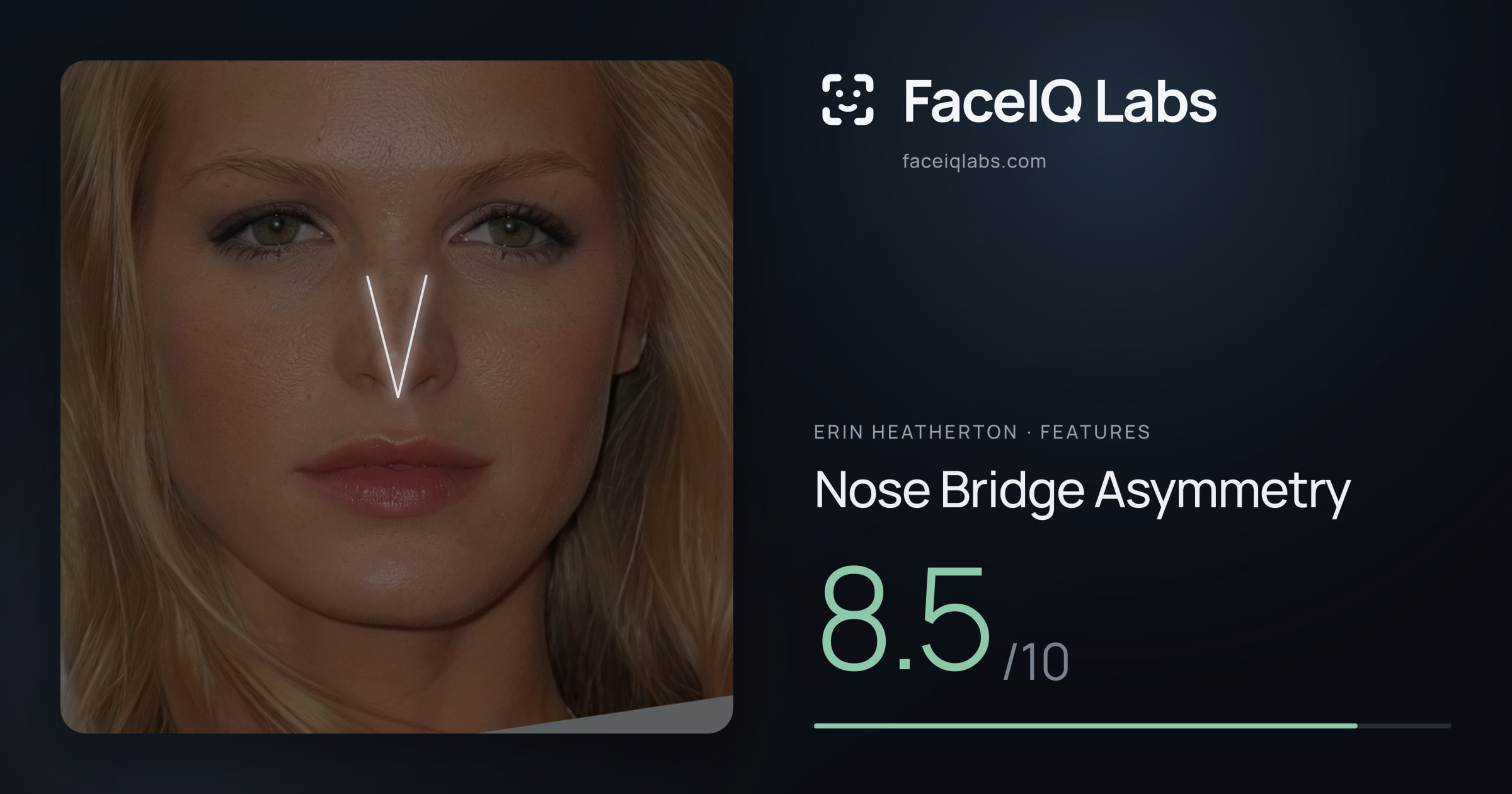 Erin Heatherton Nose Bridge Asymmetry: 8.5/10, drawn on the photo