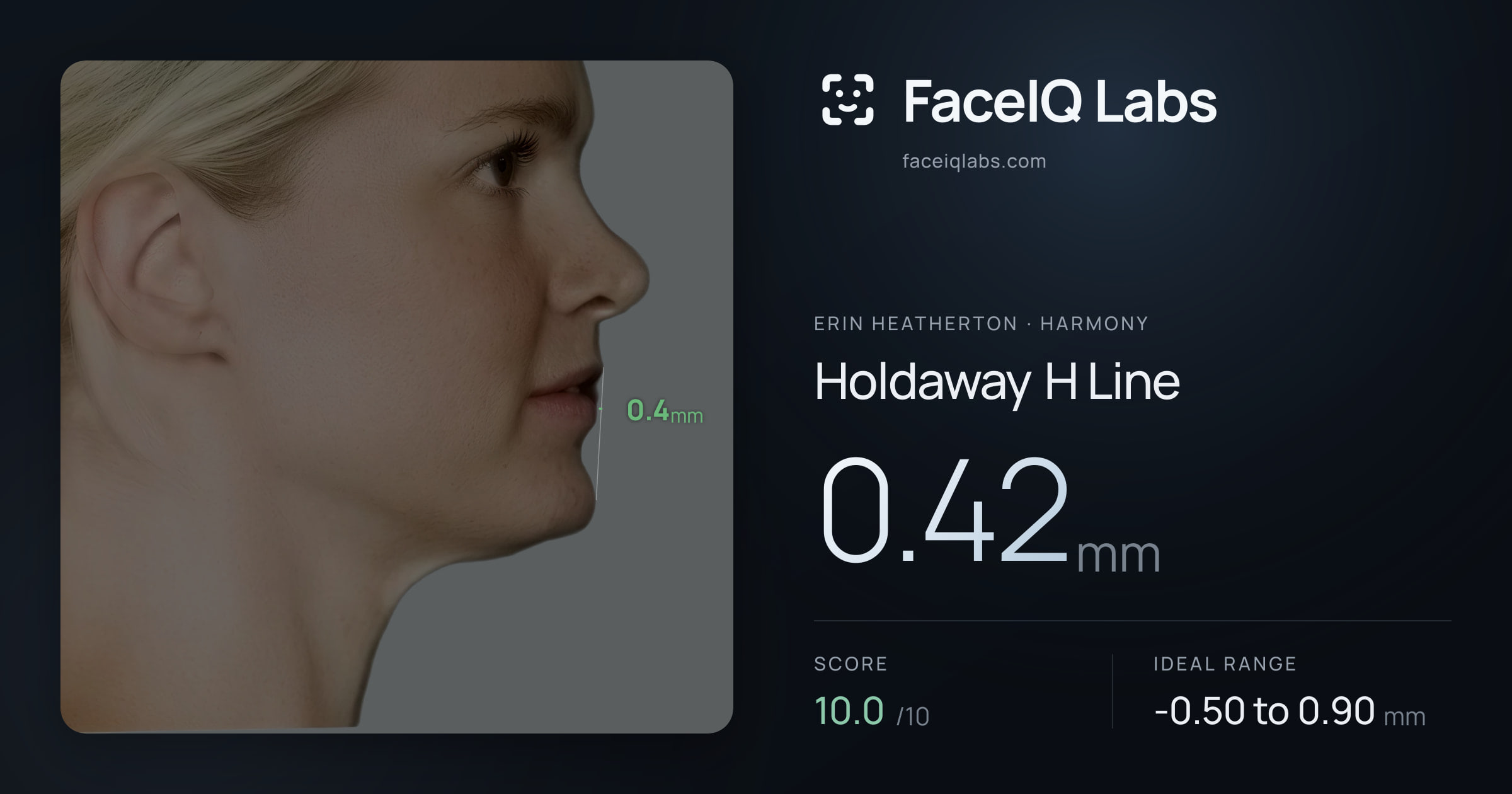Erin Heatherton Holdaway H Line: 0.42mm, drawn on the photo