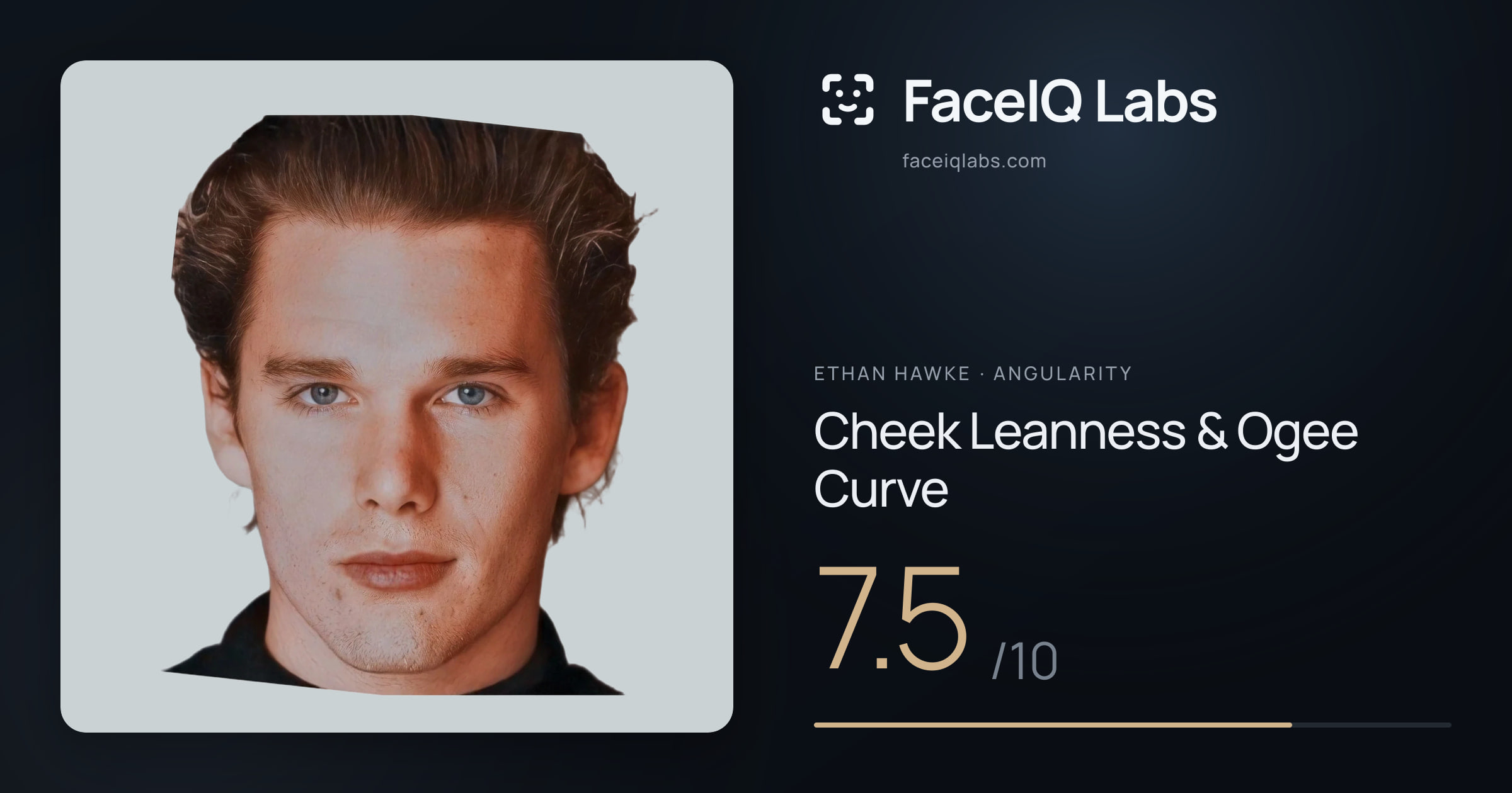 Ethan Hawke Cheek Leanness & Ogee Curve: 7.5/10, drawn on the photo