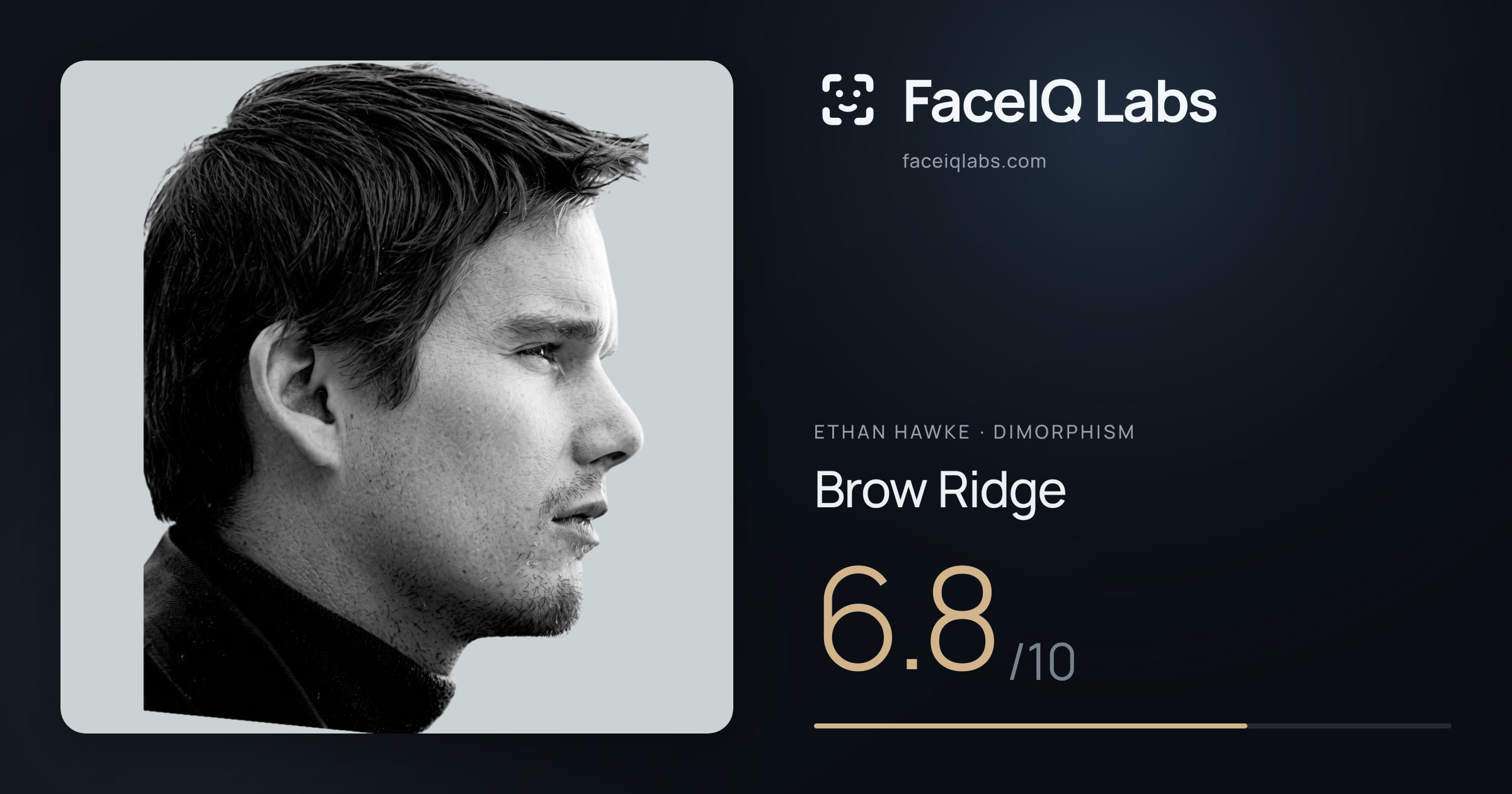 Ethan Hawke Brow Ridge: 6.8/10, drawn on the photo