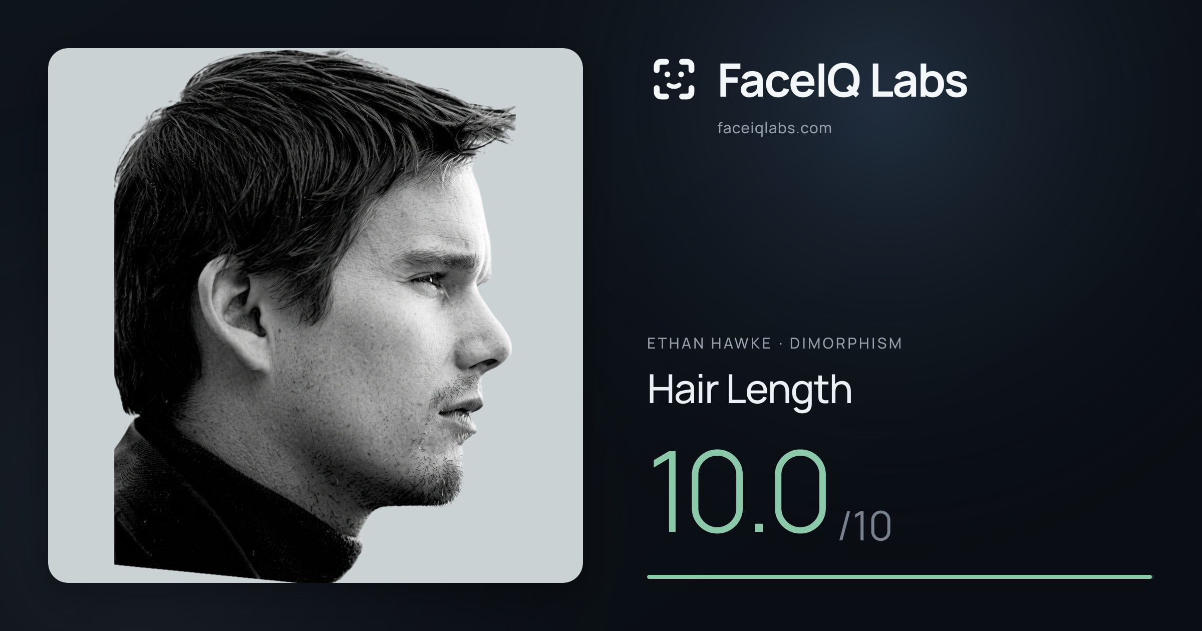 Ethan Hawke Hair Length: 10.0/10, drawn on the photo