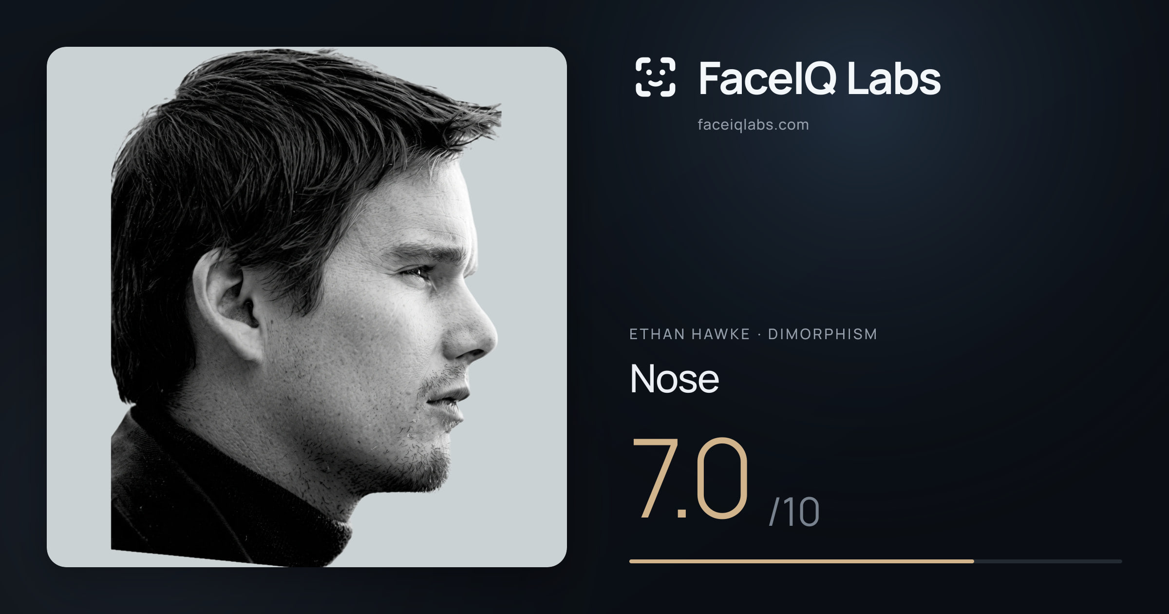 Ethan Hawke Nose: 7.0/10, drawn on the photo