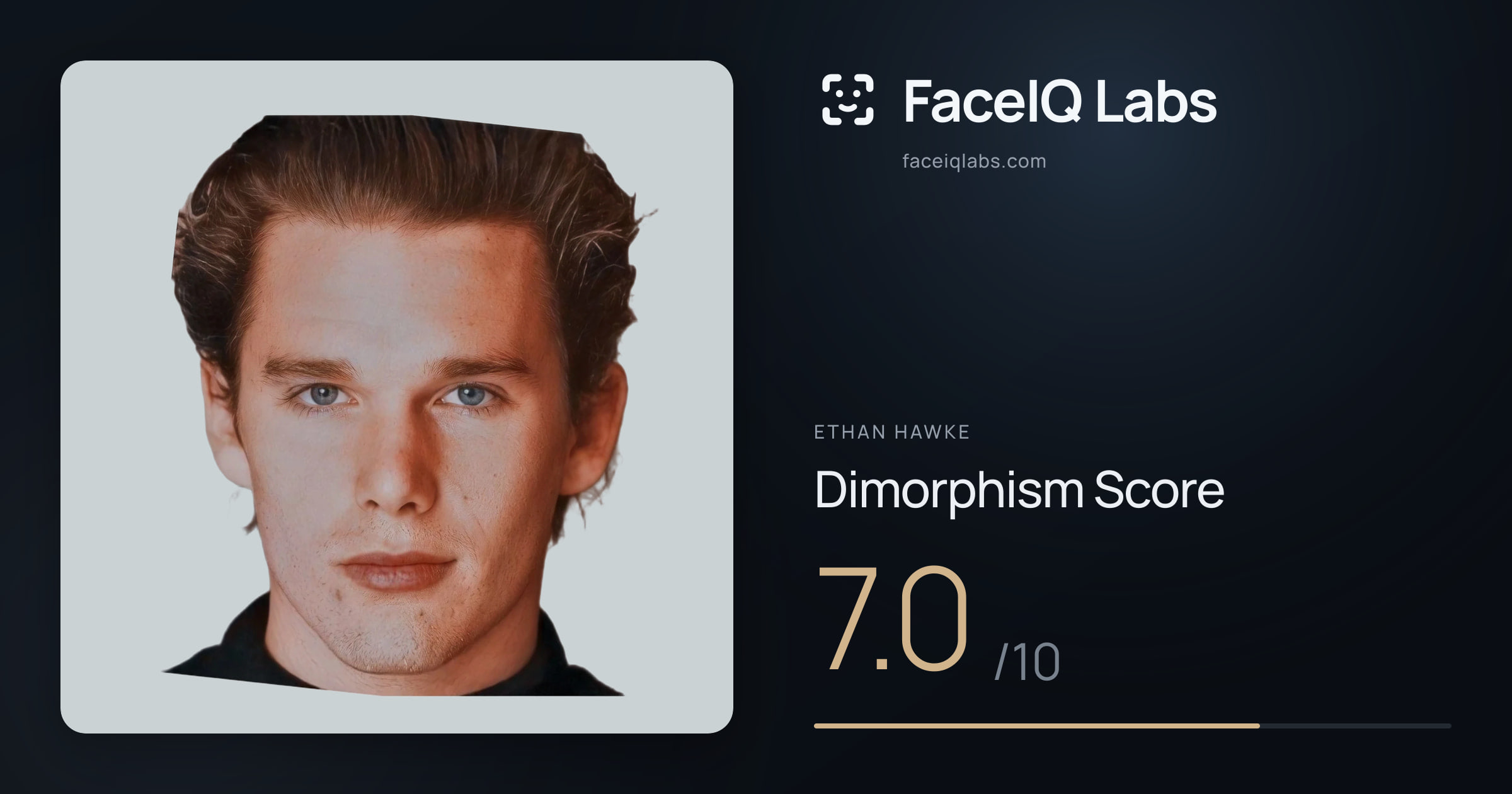 Ethan Hawke Dimorphism: 7.0/10, with each assessment drawn on the photo