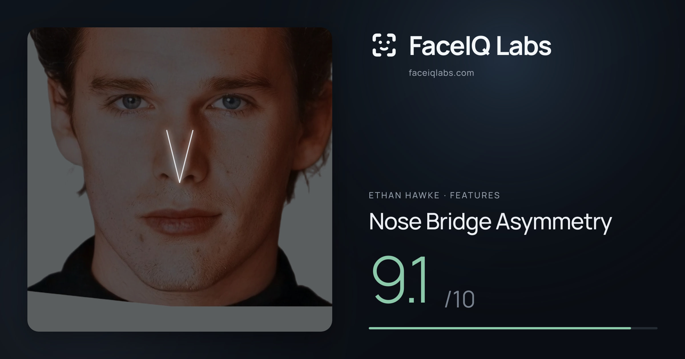 Ethan Hawke Nose Bridge Asymmetry: 9.1/10, drawn on the photo