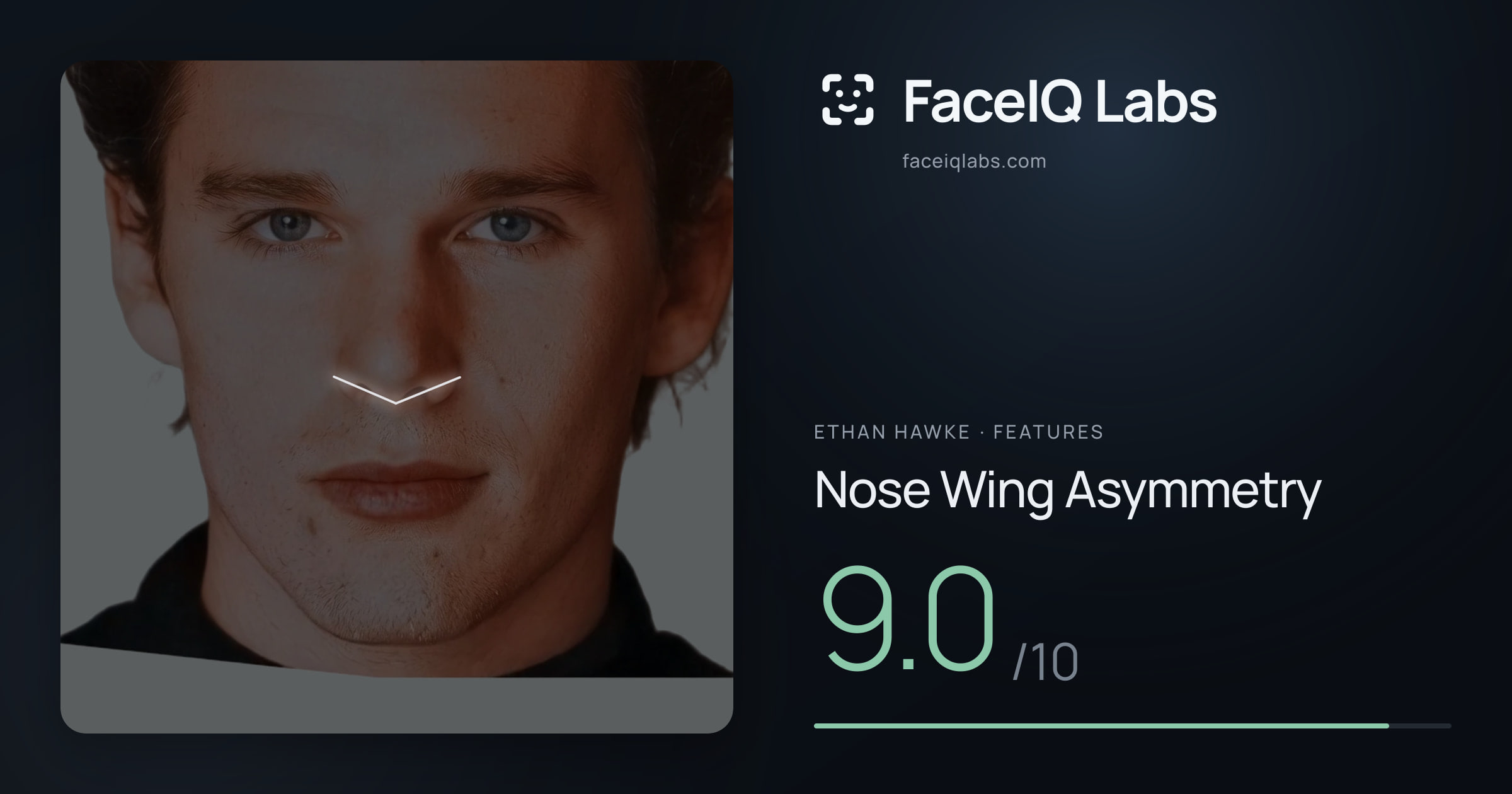 Ethan Hawke Nose Wing Asymmetry: 9.0/10, drawn on the photo