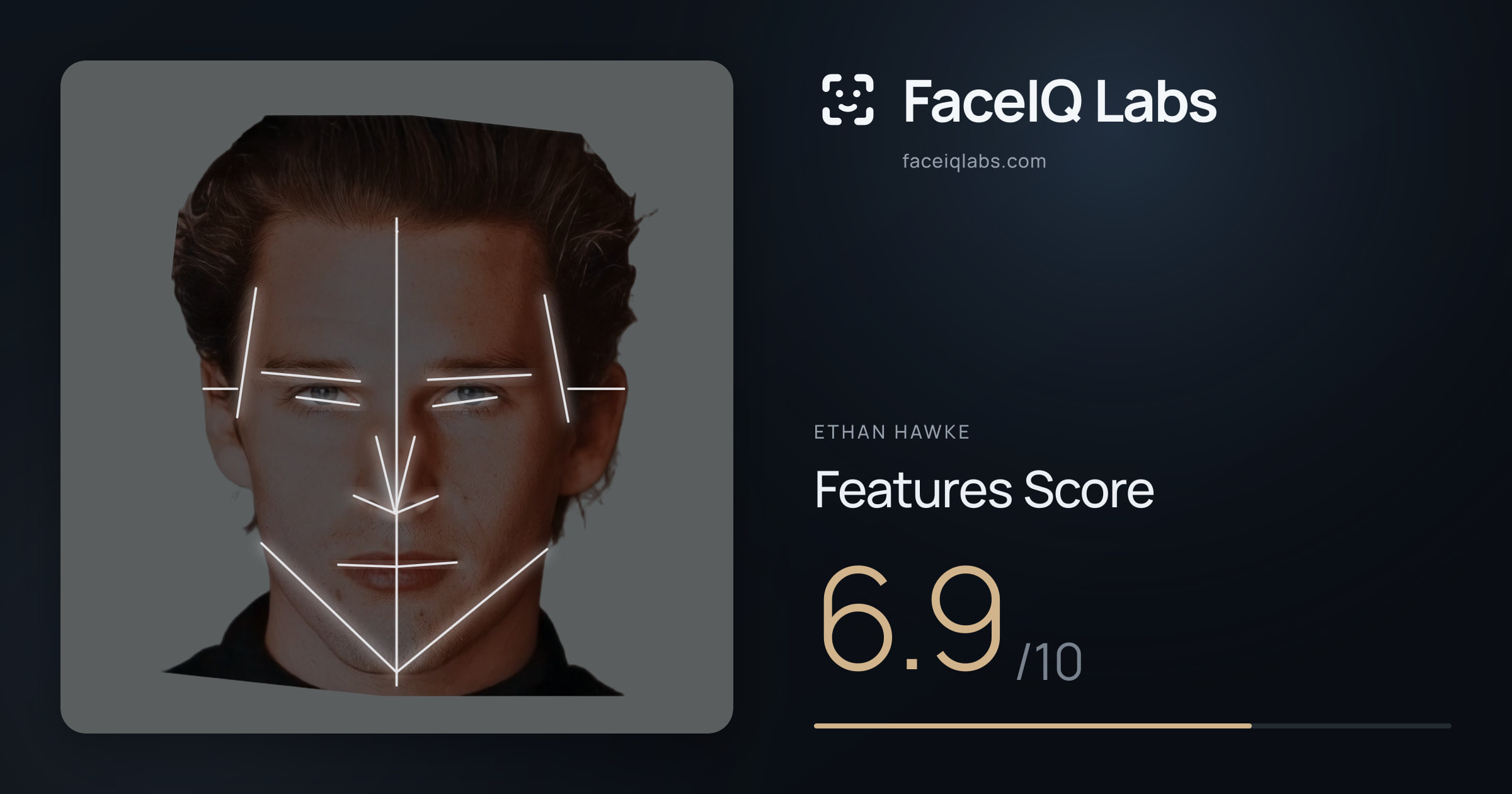 Ethan Hawke Features: 6.9/10, with each assessment drawn on the photo